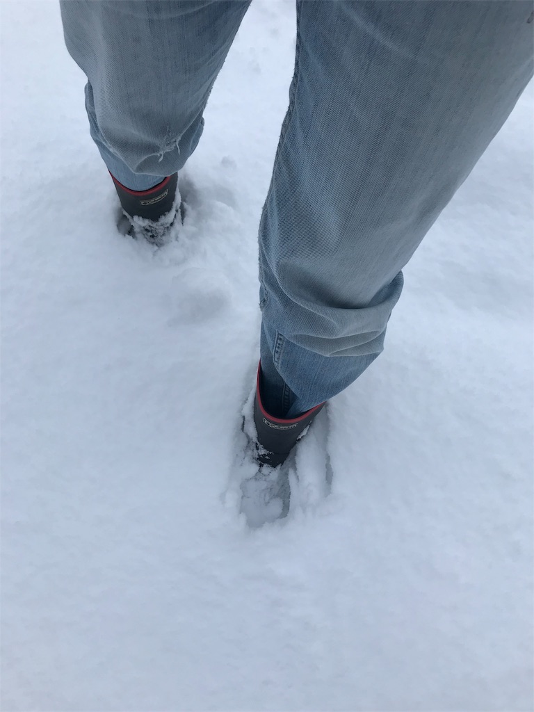 f:id:CNwriting:20190122204912j:plain