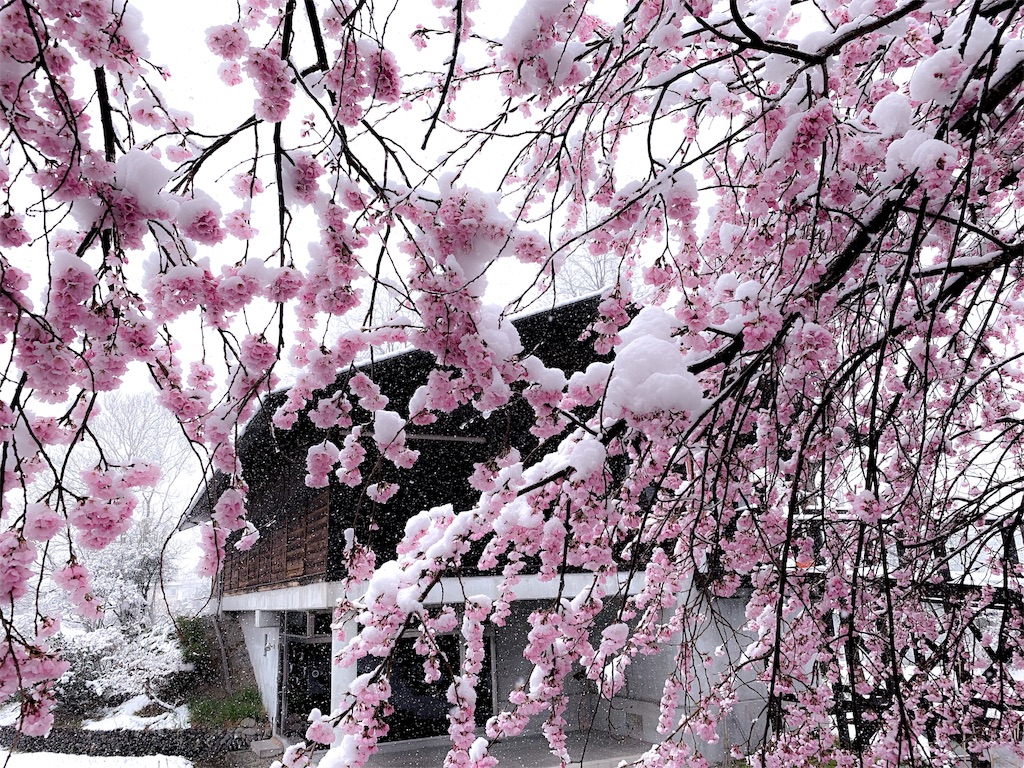 f:id:CNwriting:20190411105922j:image