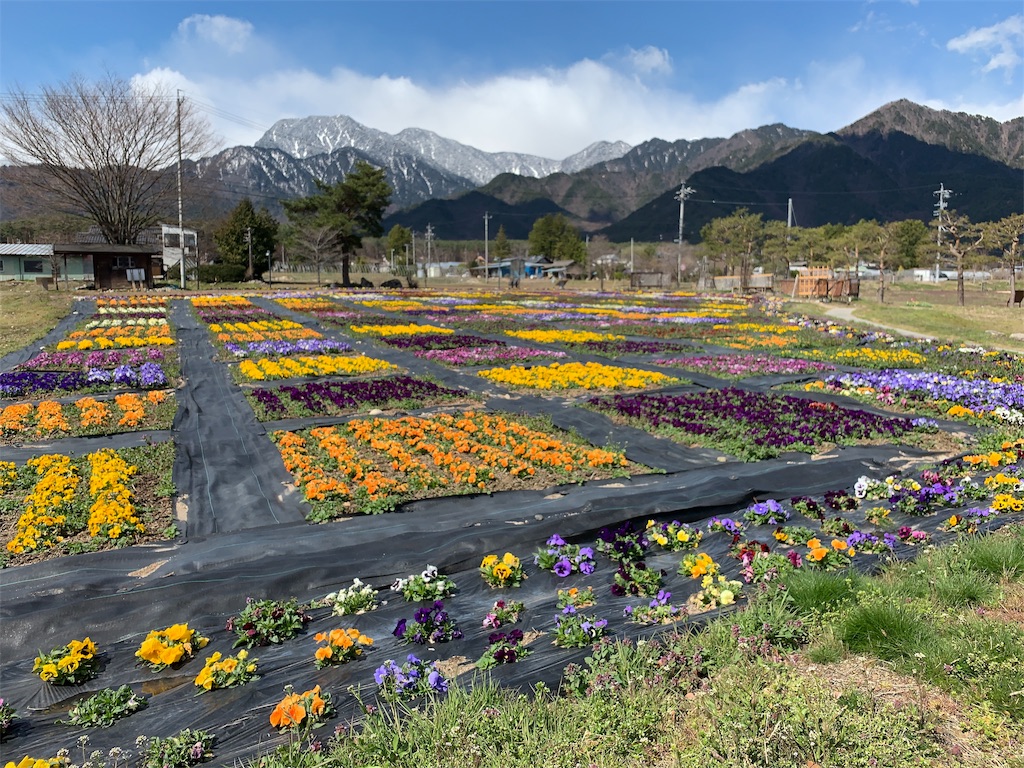 f:id:CNwriting:20190415110323j:plain f:id:CNwriting:20190415110323j:plain