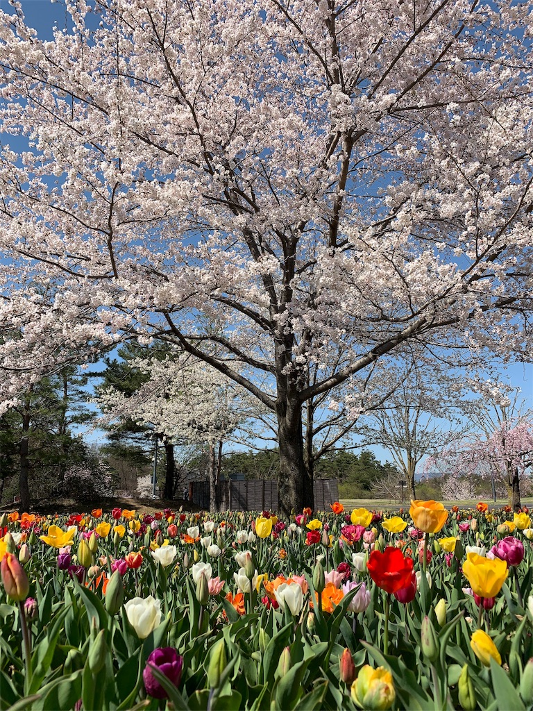 f:id:CNwriting:20190420171318j:plain f:id:CNwriting:20190420171318j:plain