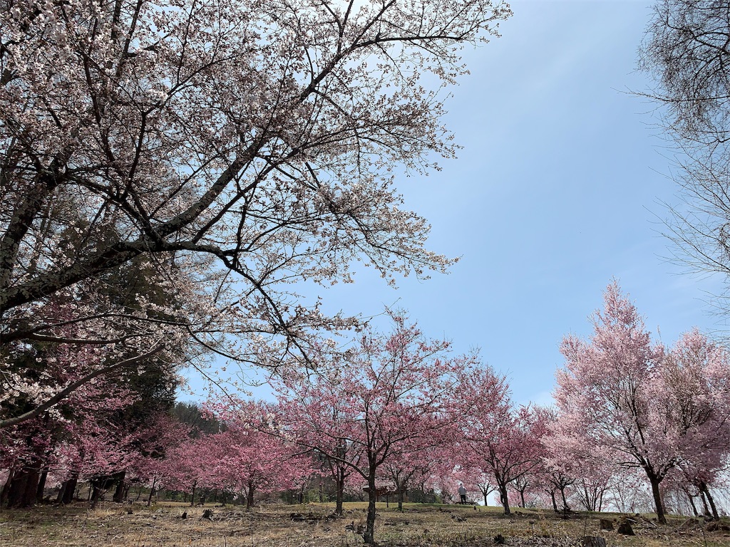 f:id:CNwriting:20190423121655j:plain f:id:CNwriting:20190423121655j:plain