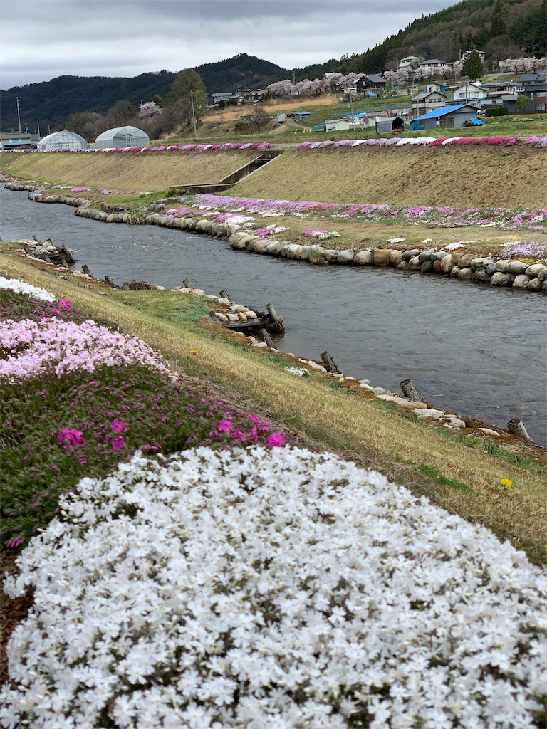 f:id:CNwriting:20190425182513j:plain