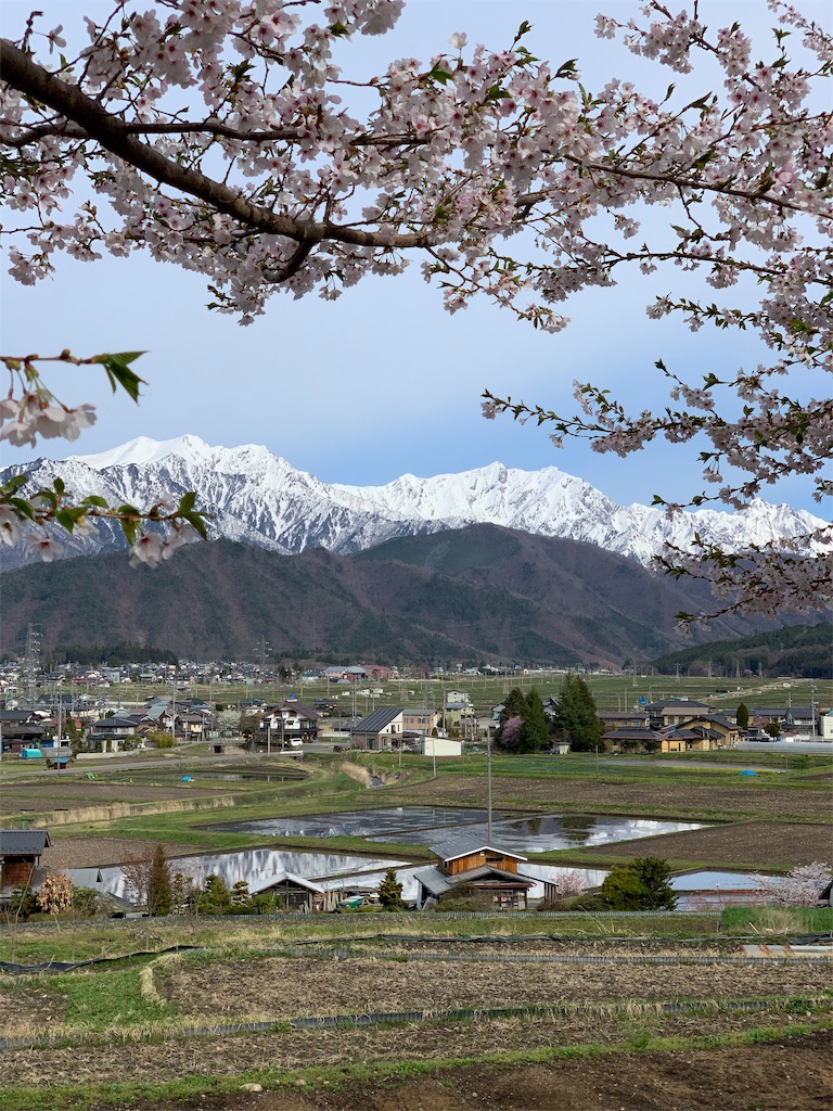 f:id:CNwriting:20190428152822j:plain f:id:CNwriting:20190428152822j:plain