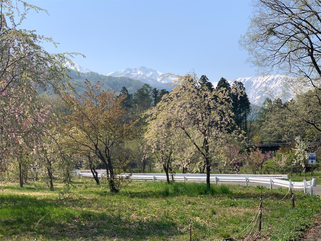 f:id:CNwriting:20190512212000j:plain f:id:CNwriting:20190512212000j:plain