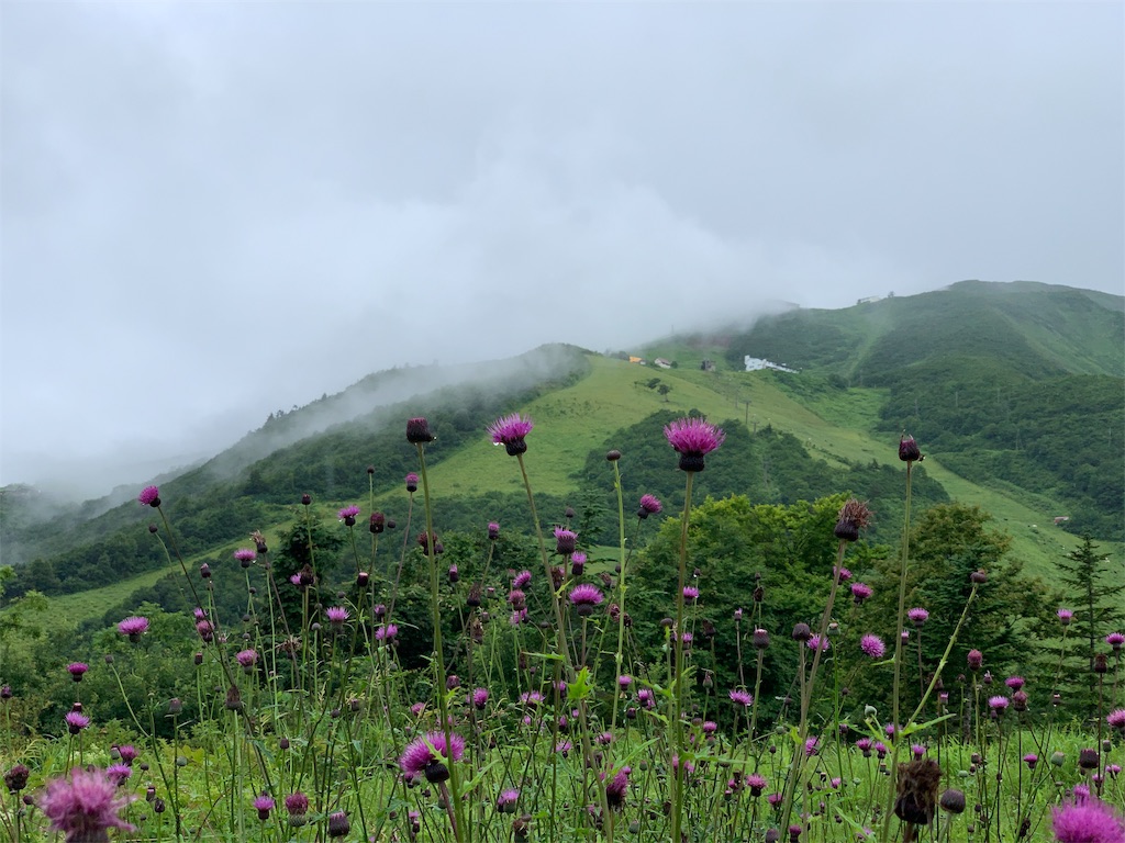 f:id:CNwriting:20190719214353j:plain f:id:CNwriting:20190719214353j:plain