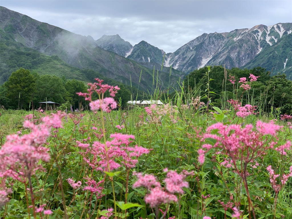 f:id:CNwriting:20190723072523j:plain f:id:CNwriting:20190723072523j:plain