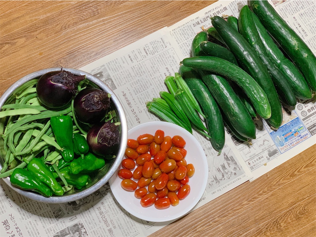f:id:CNwriting:20190805222907j:plain f:id:CNwriting:20190805222907j:plain