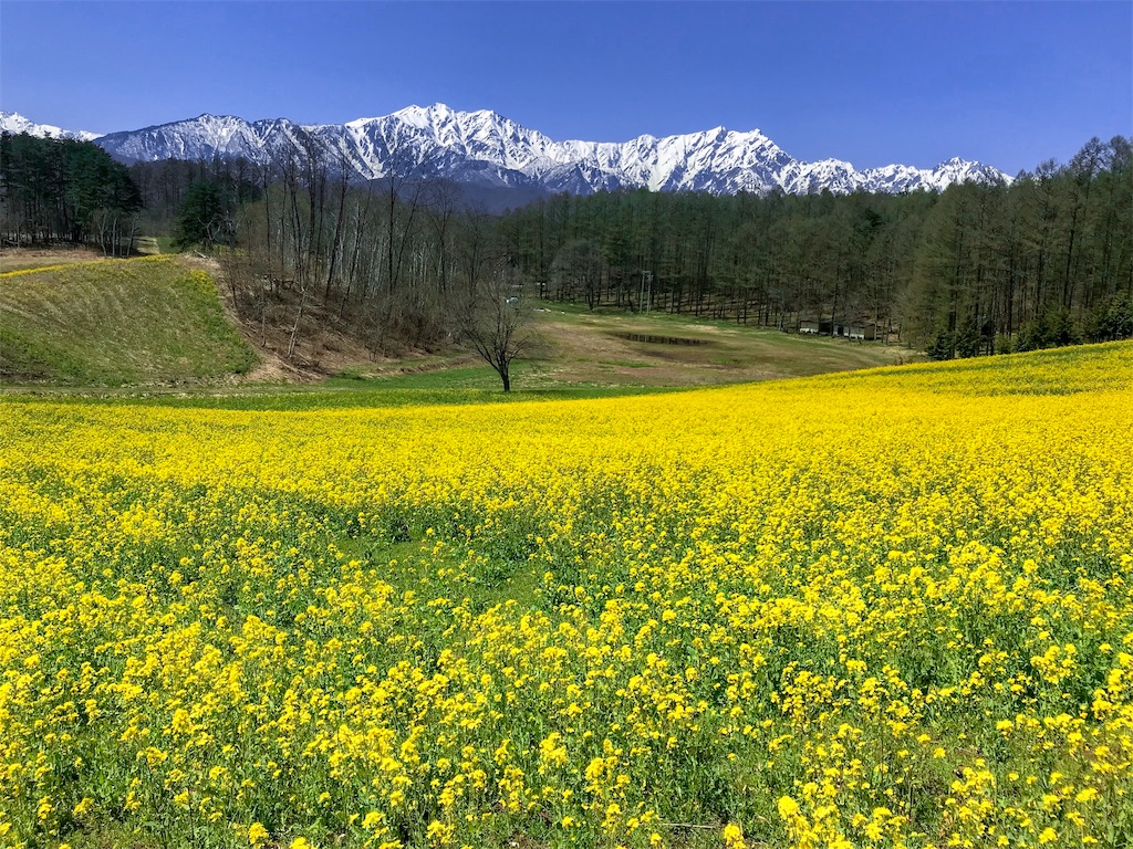 f:id:CNwriting:20190826154444j:plain f:id:CNwriting:20190826154444j:plain
