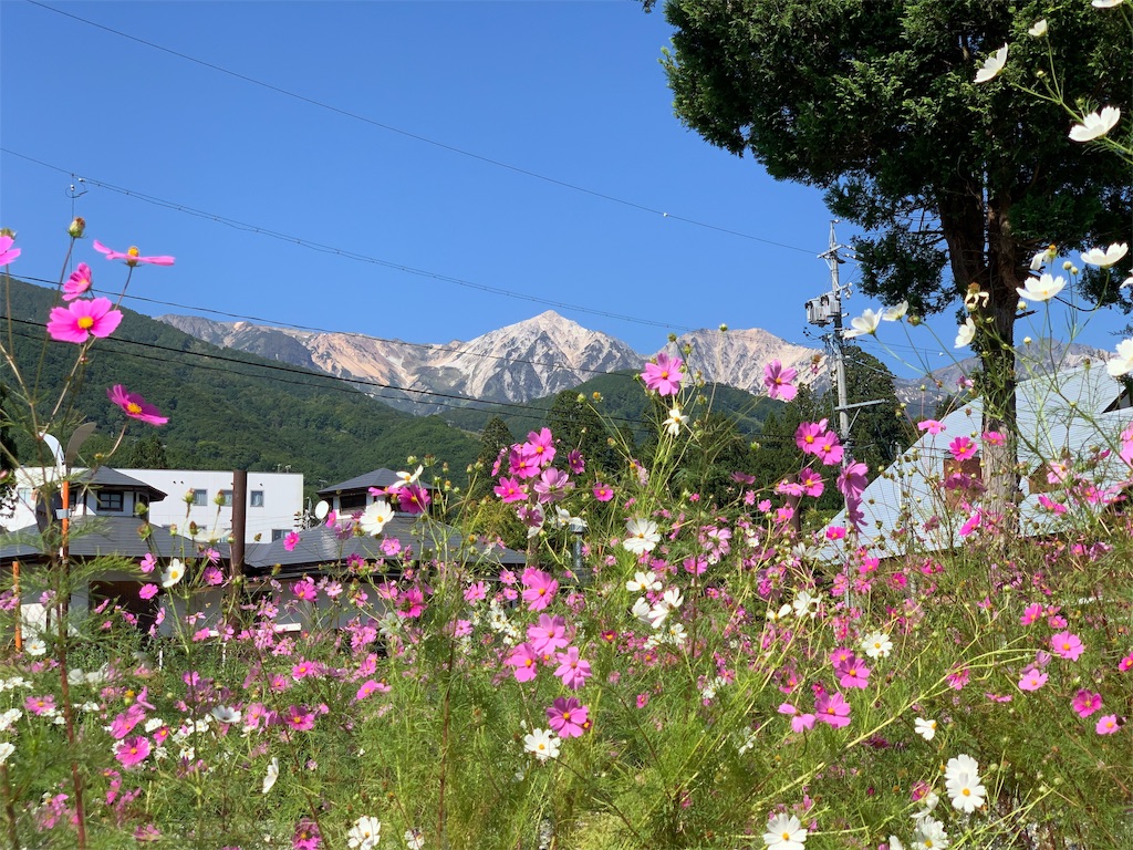 f:id:CNwriting:20190927142358j:plain f:id:CNwriting:20190927142358j:plain