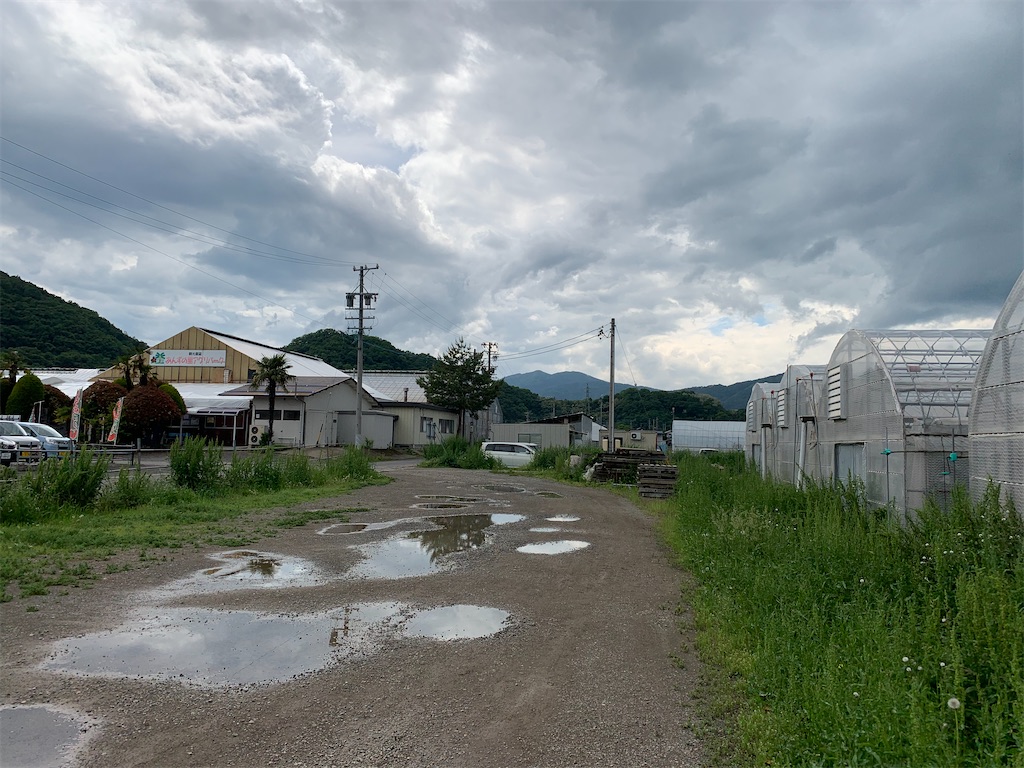 長野県千曲市 12月から5月末までいちご狩りを楽しめる あんずの里アグリパーク は時間制限なしでいちご食べ放題 都会より田舎が好き
