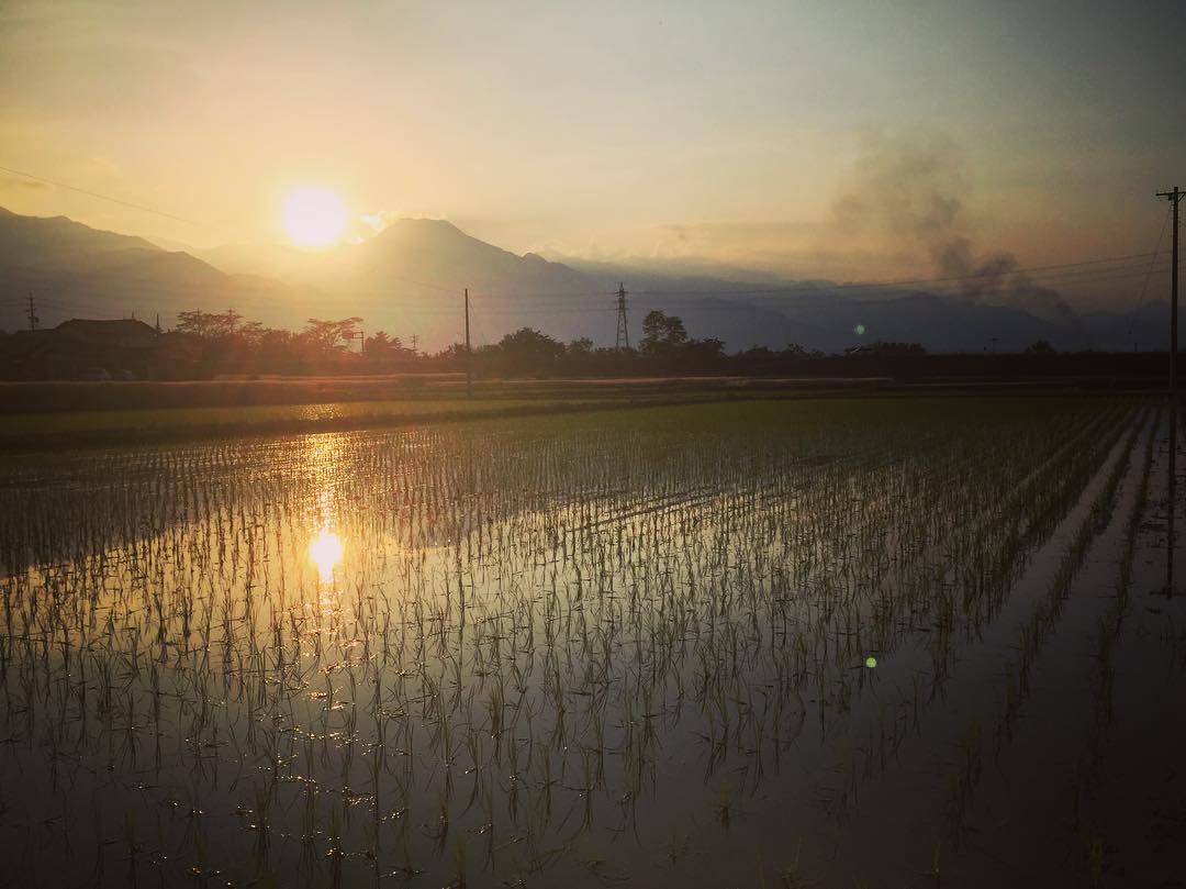 f:id:CNwriting:20210602151408j:plain