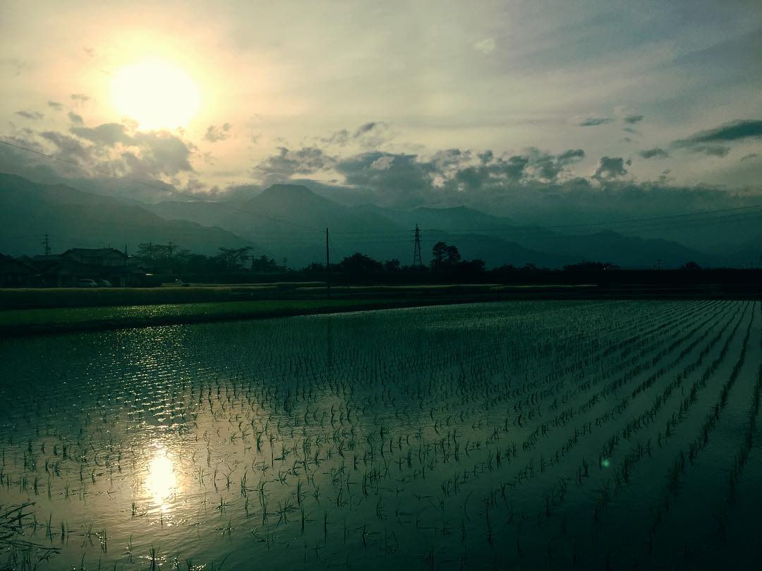 f:id:CNwriting:20210602151438j:plain