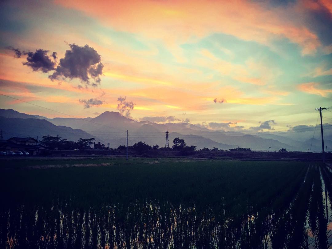 f:id:CNwriting:20210602151558j:plain