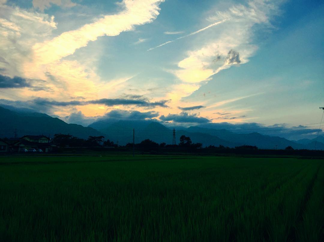 f:id:CNwriting:20210602152020j:plain