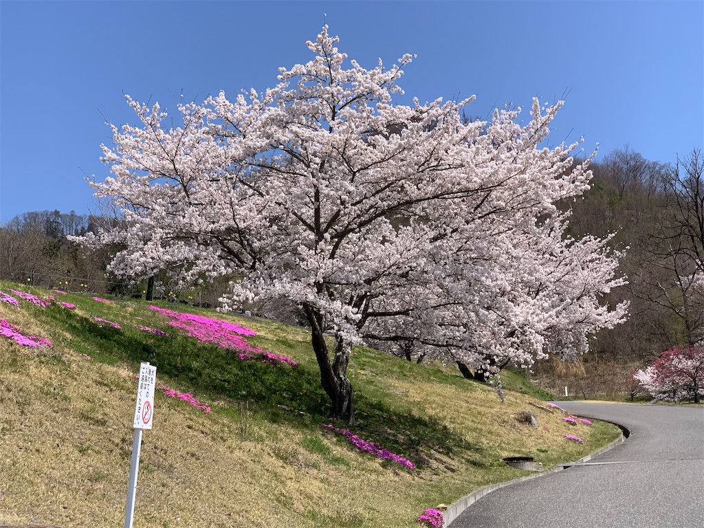 f:id:CNwriting:20220415092122j:plain