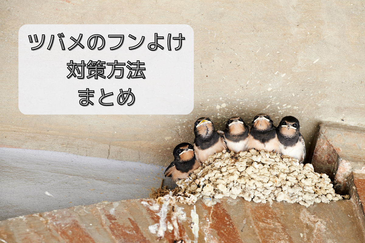 ツバメの人工巣 通販が始まりました ツバメブログ2