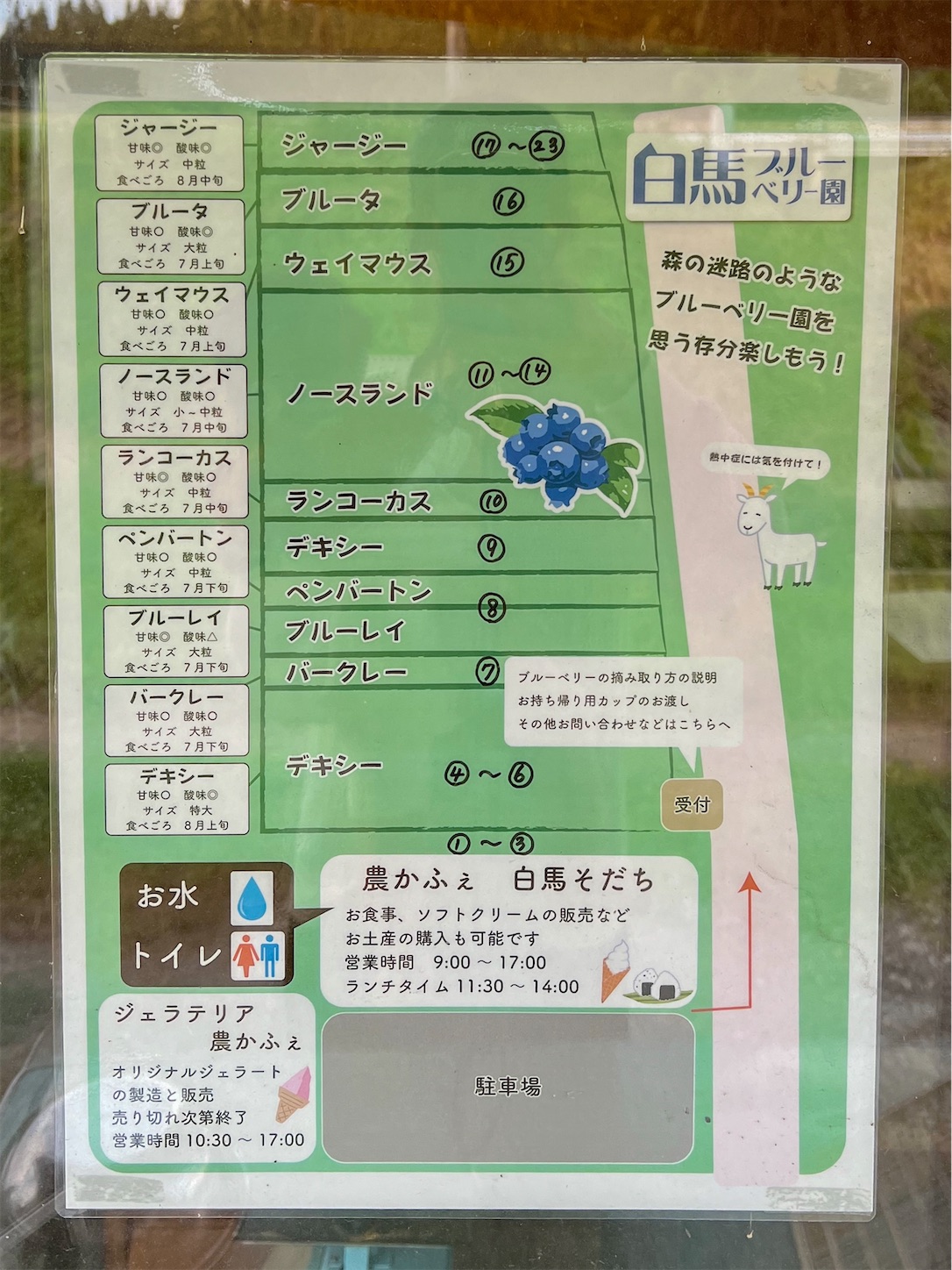 f:id:CNwriting:20230723205532j:image