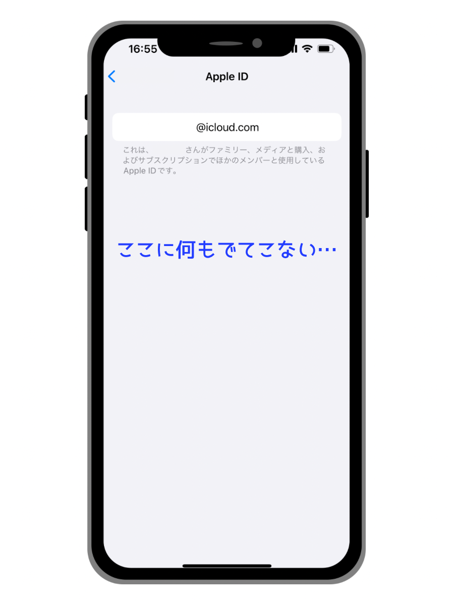 子どものApple IDのパスワード変更ができない→解決したやり方・手順