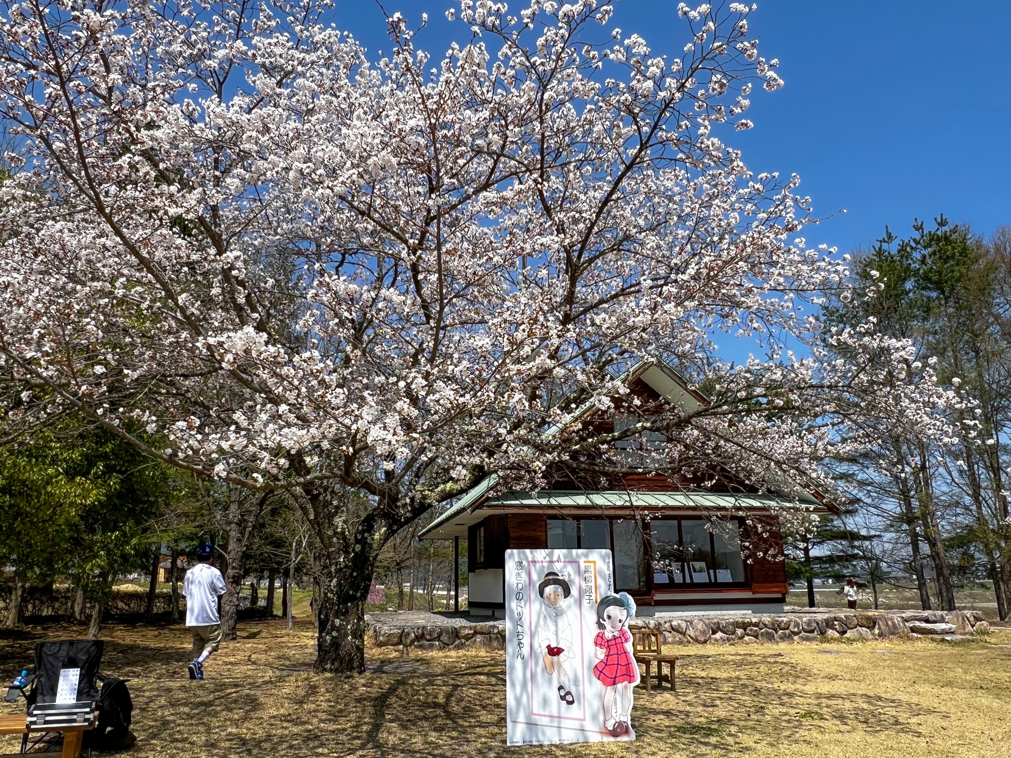 ★ぬ 目で見る安曇の100年 / 大町市 北安曇郡 南安曇郡 / 郷土出版社 安曇 : 目で見る明治・大正・昭和(郷土出版編) / 古本、中古本