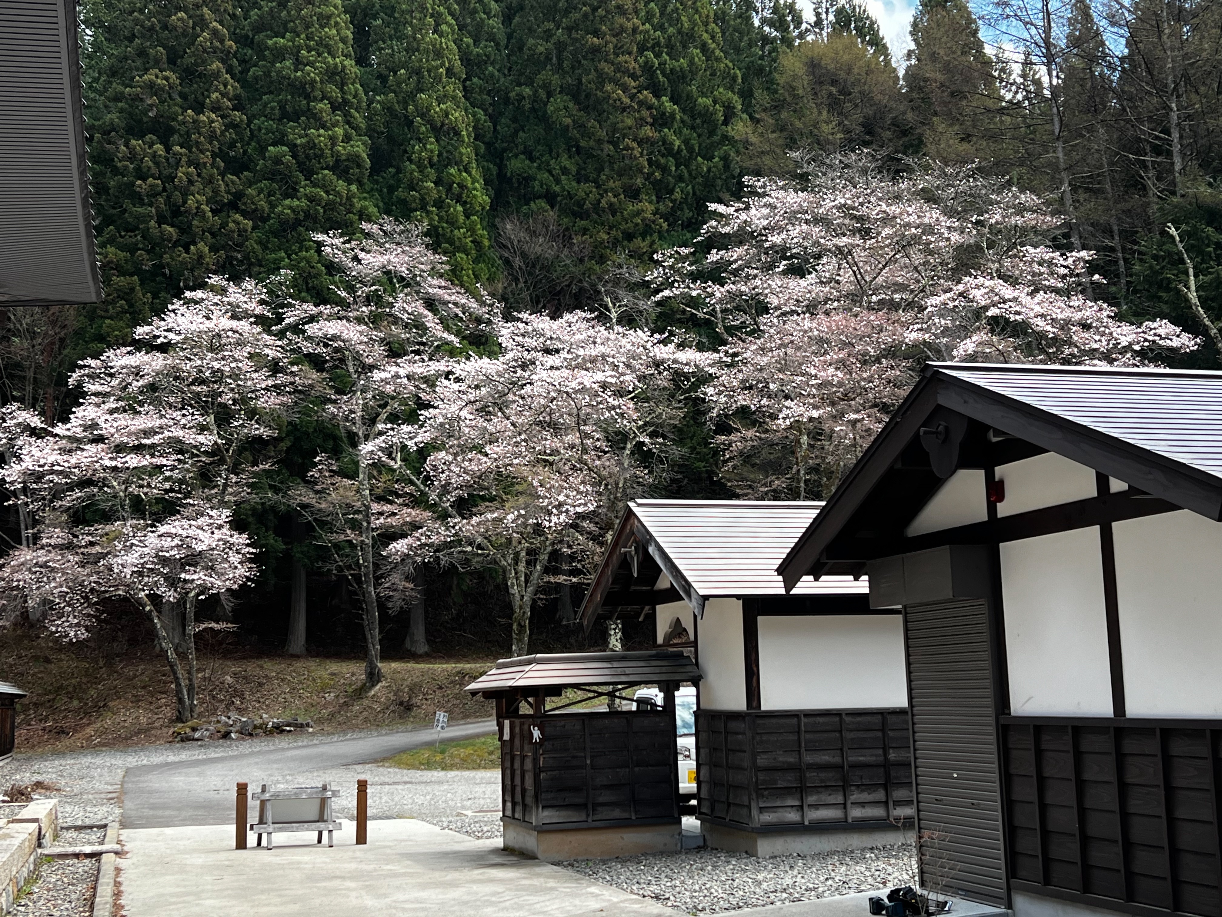 f:id:CNwriting:20240418210403j:image