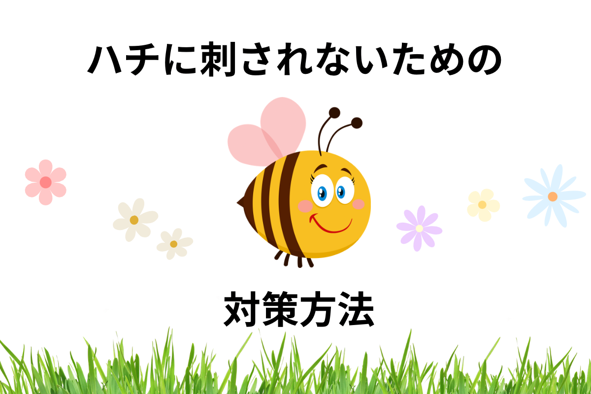 f:id:CNwriting:20240523124910p:image f:id:CNwriting:20240523124910p:image