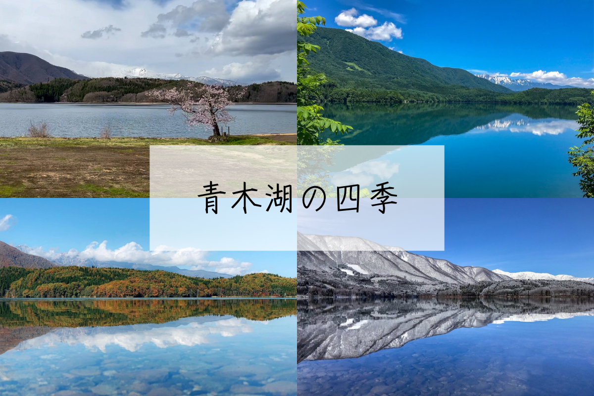 f:id:CNwriting:20240622225801p:image f:id:CNwriting:20240622225801p:image