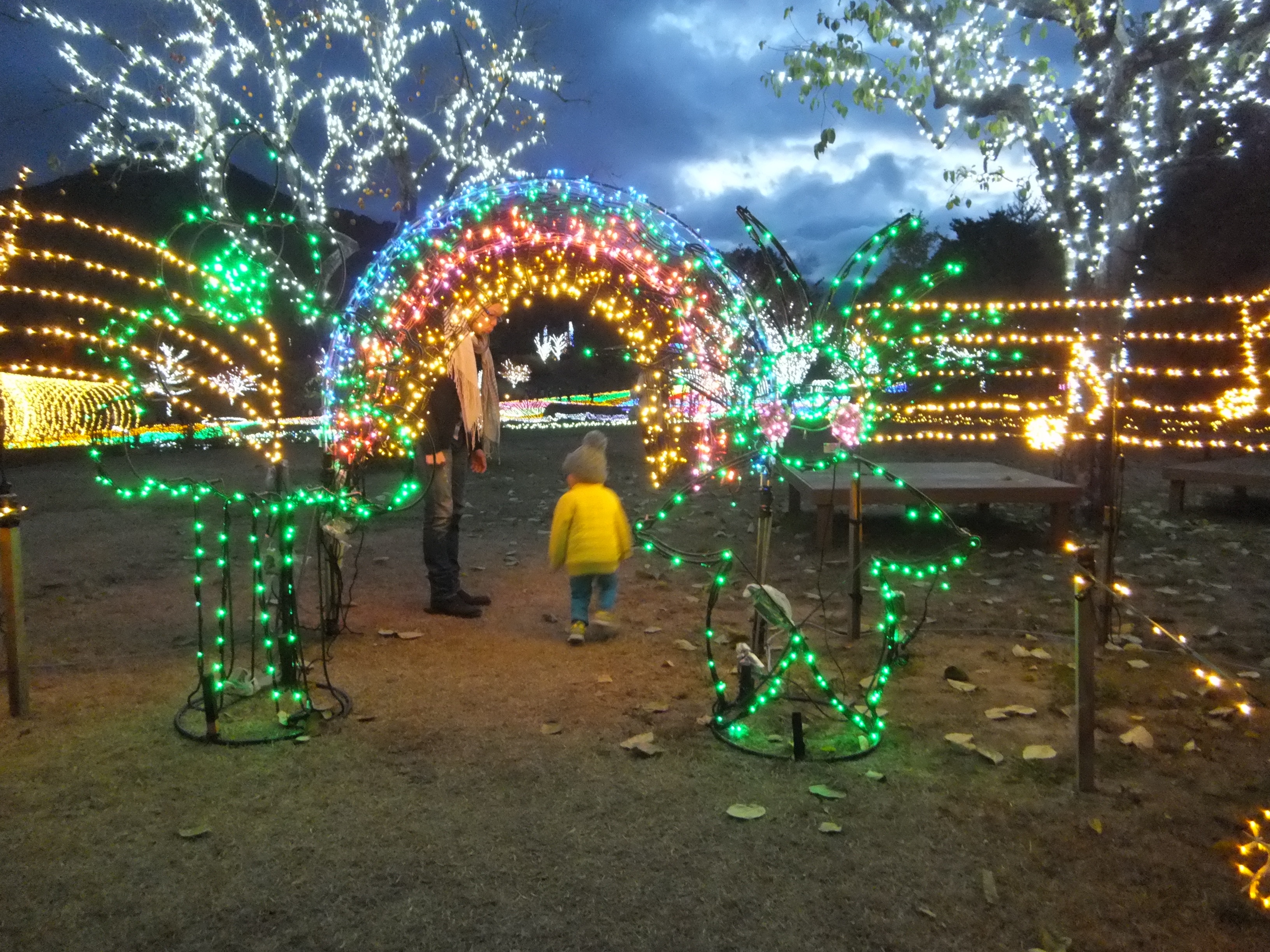 f:id:CNwriting:20240711214045j:image