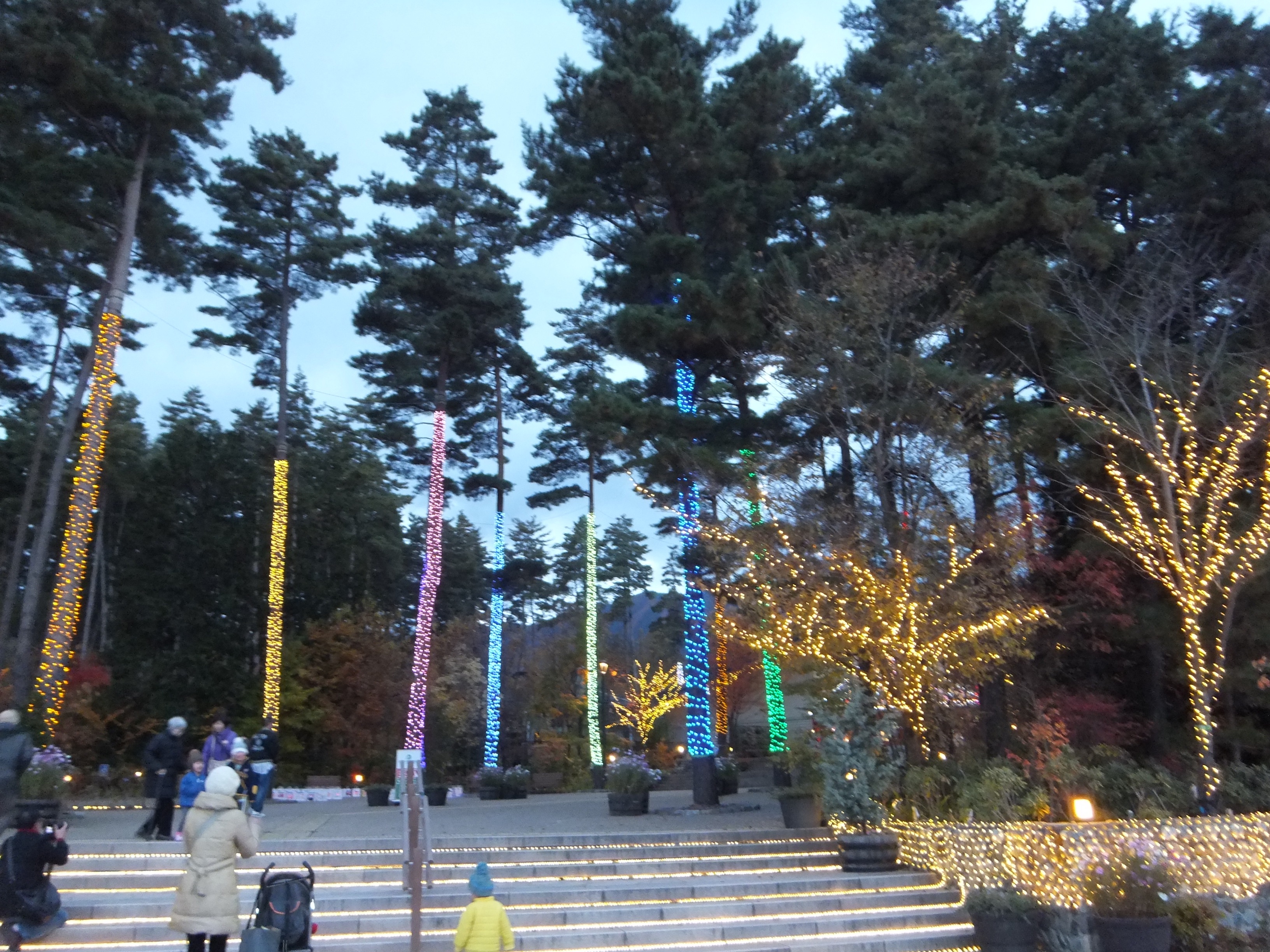 f:id:CNwriting:20240711214100j:image