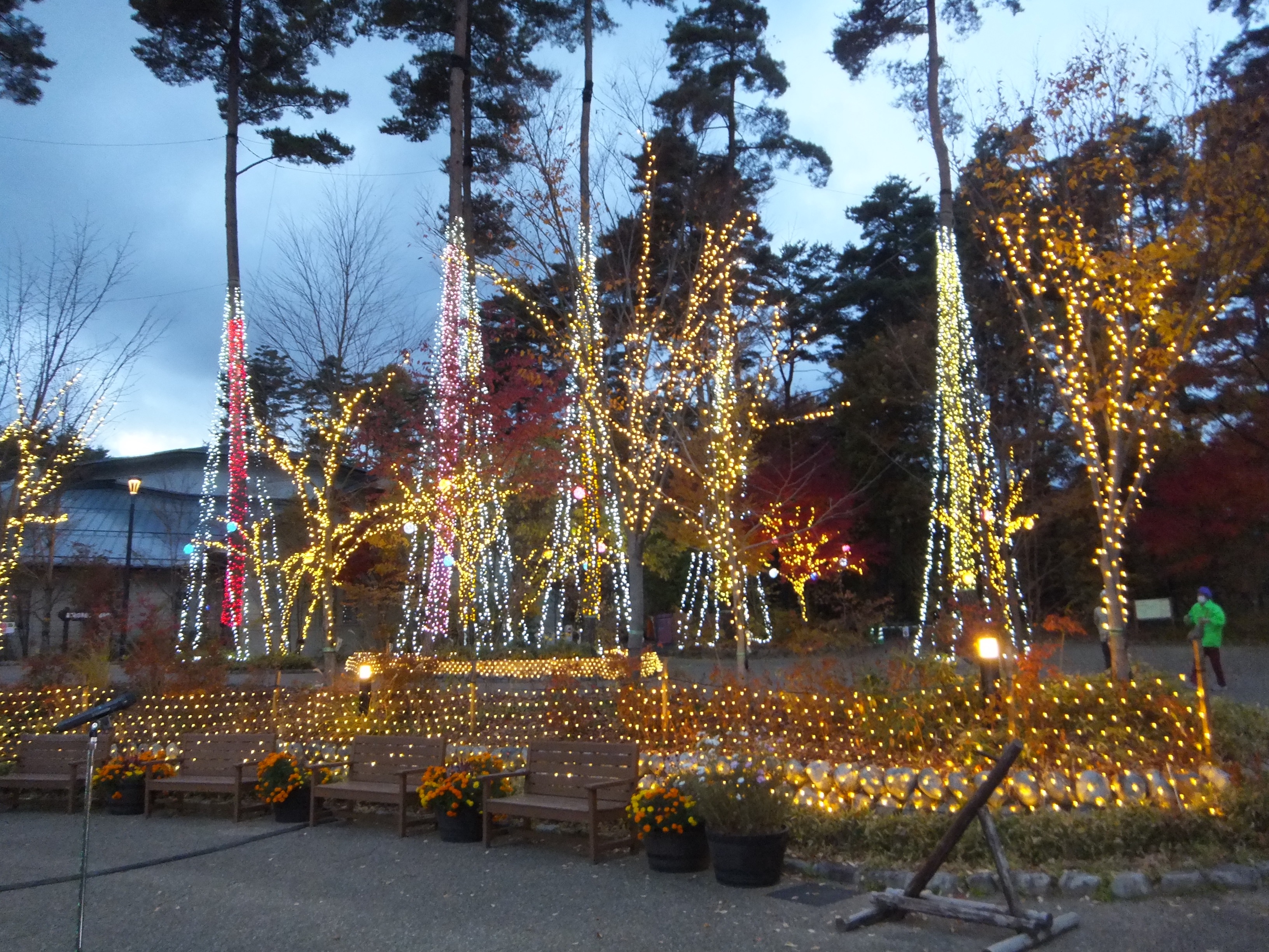 f:id:CNwriting:20240711214106j:image