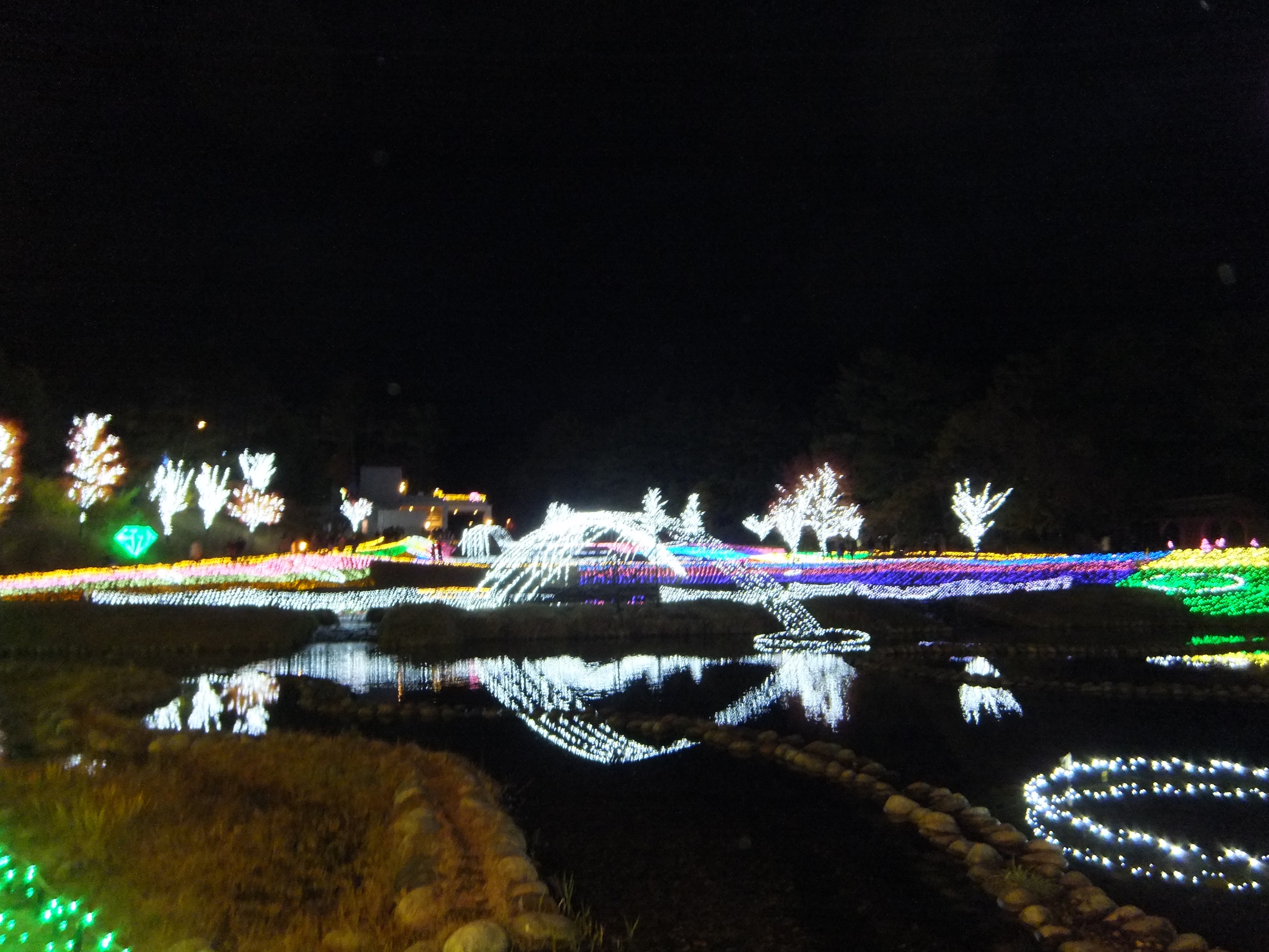 f:id:CNwriting:20240711214138j:image