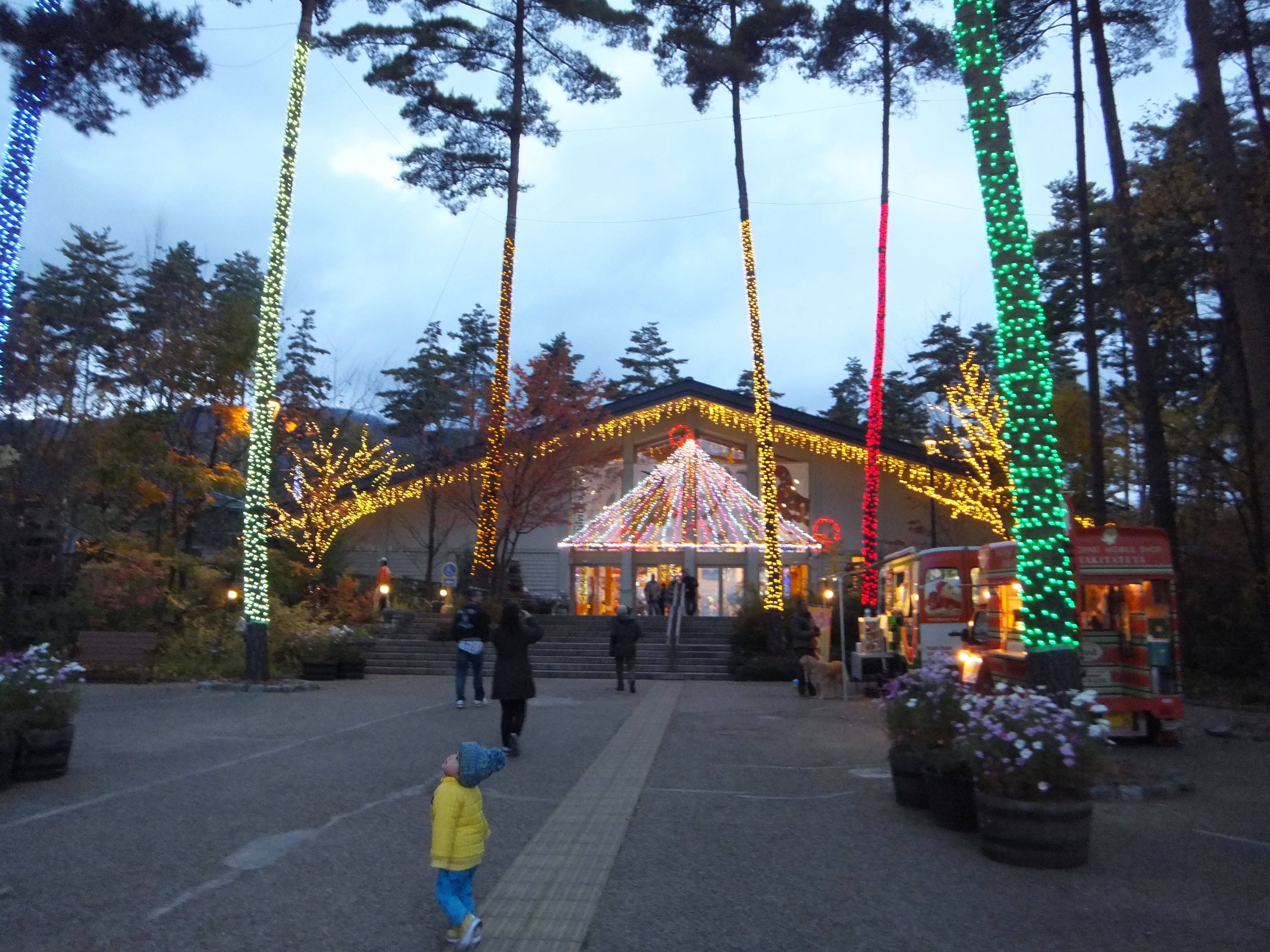 f:id:CNwriting:20240711214201j:image