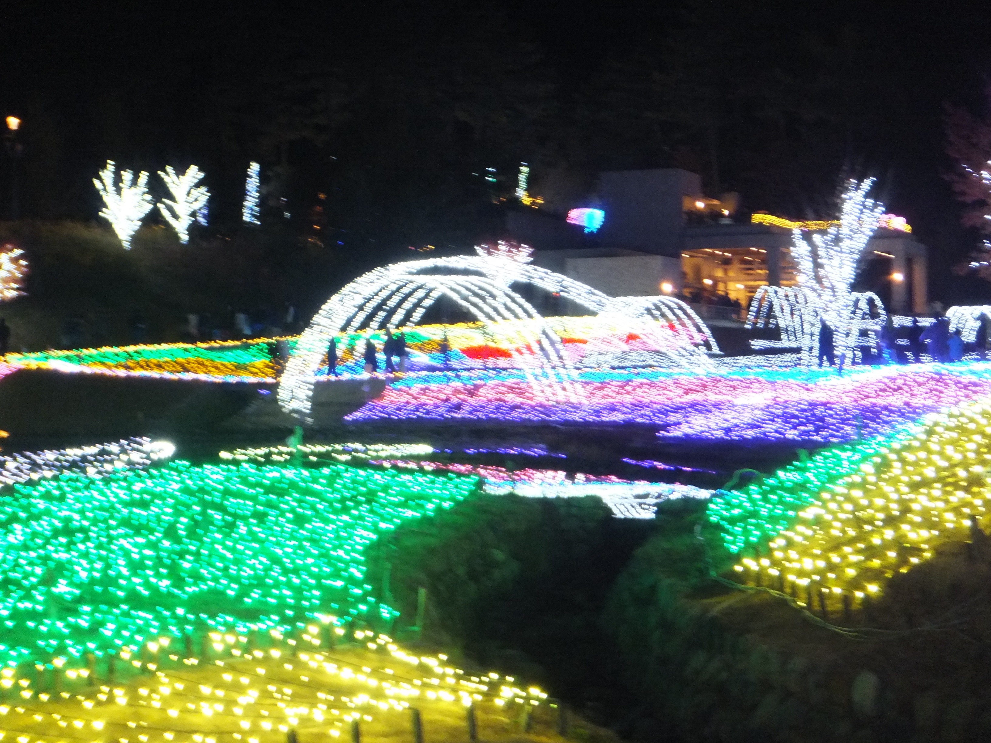 f:id:CNwriting:20240711214207j:image