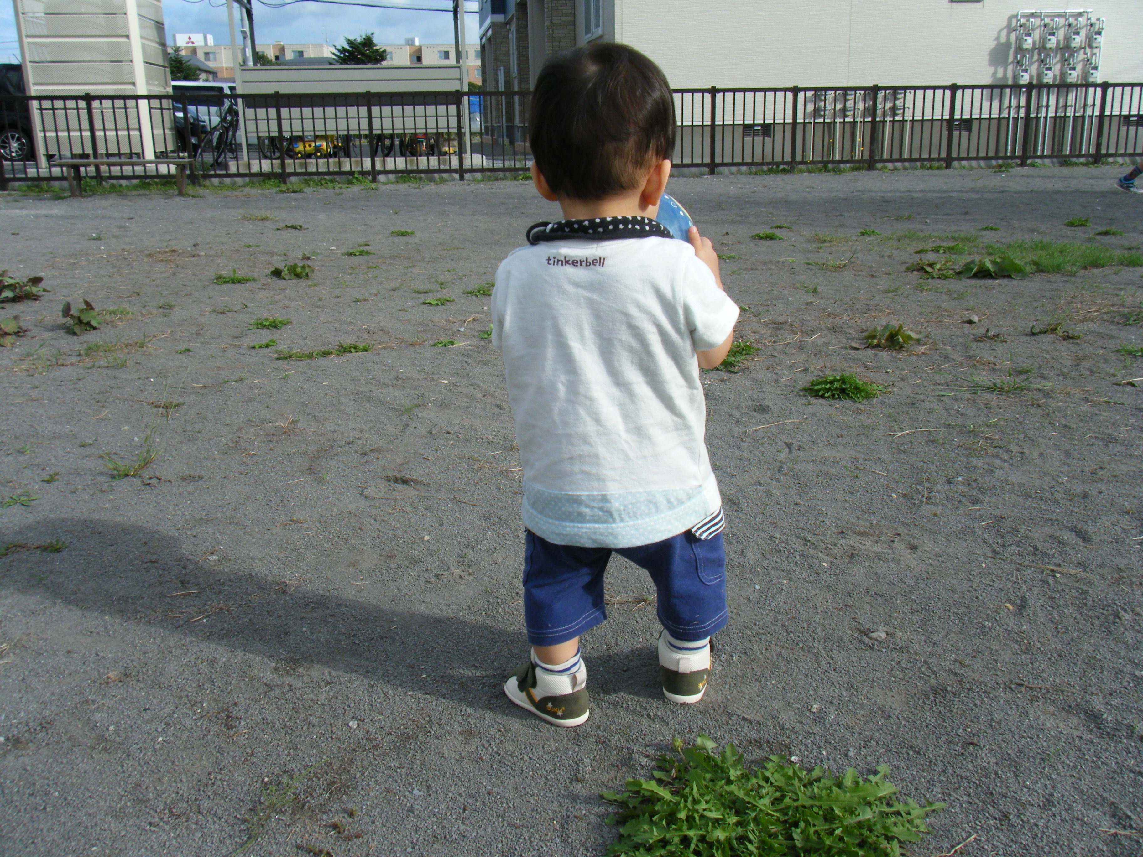 f:id:CNwriting:20240904230758j:image