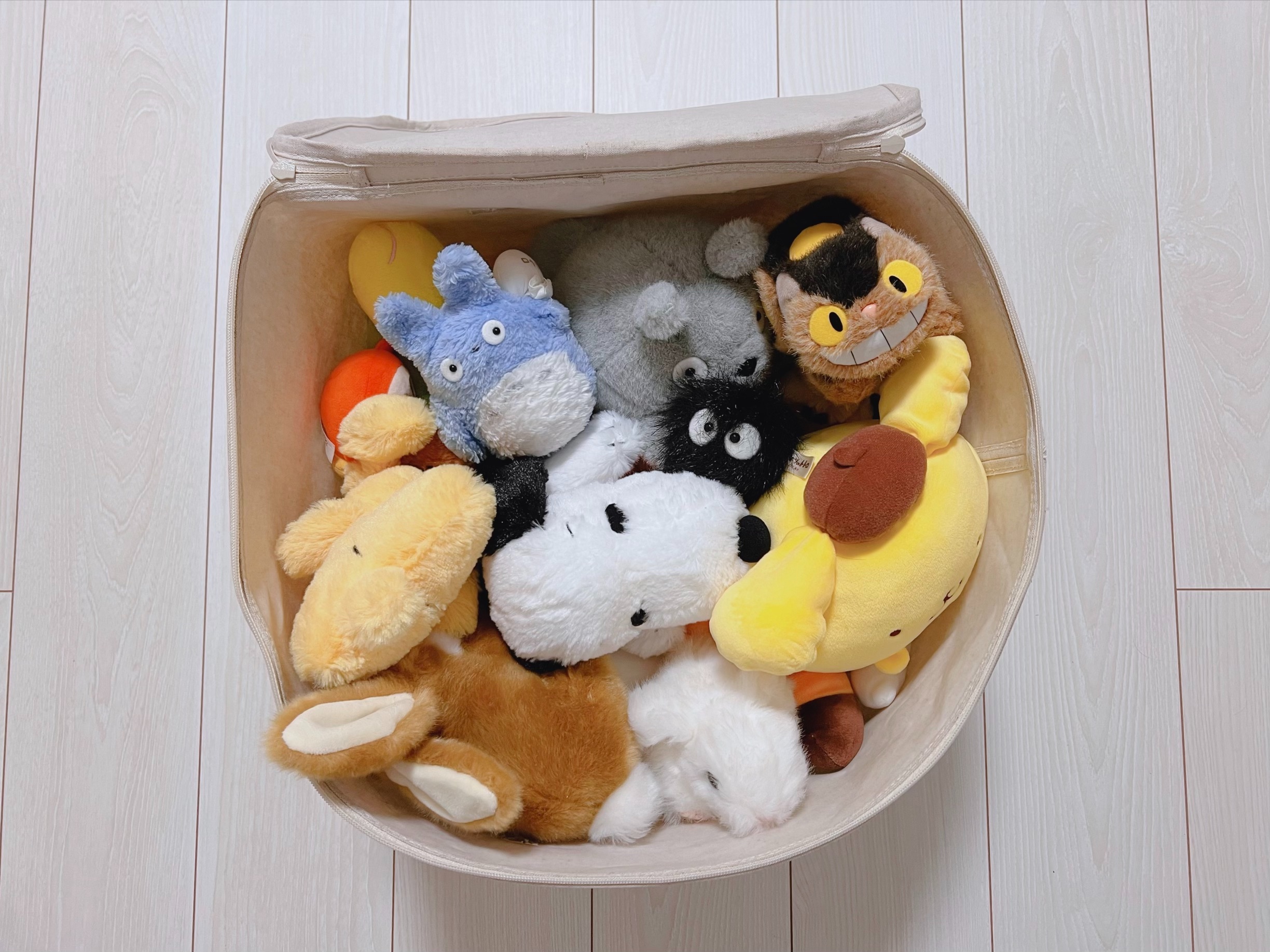 f:id:CNwriting:20241023230248j:image