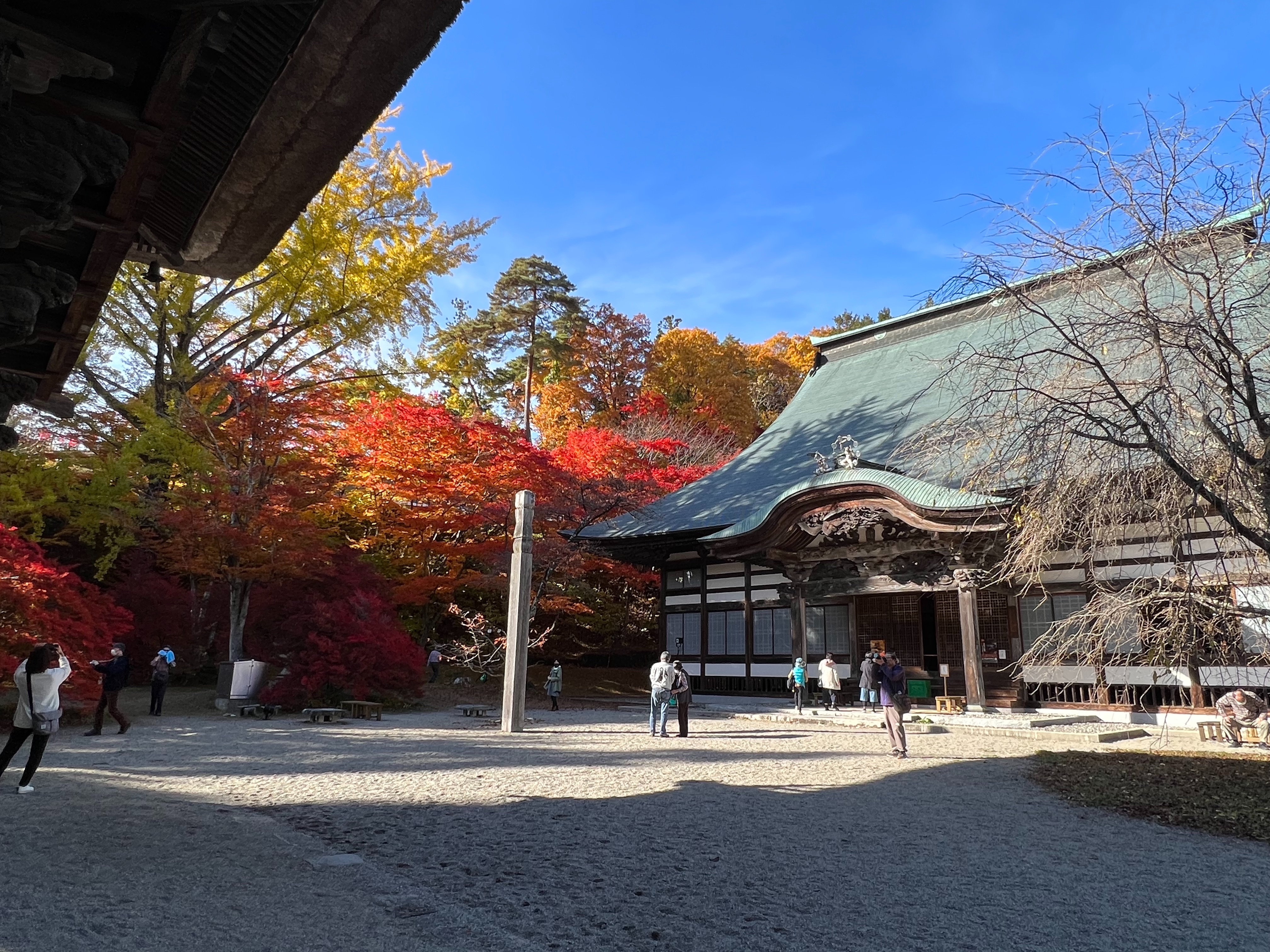 f:id:CNwriting:20241031223609j:image
