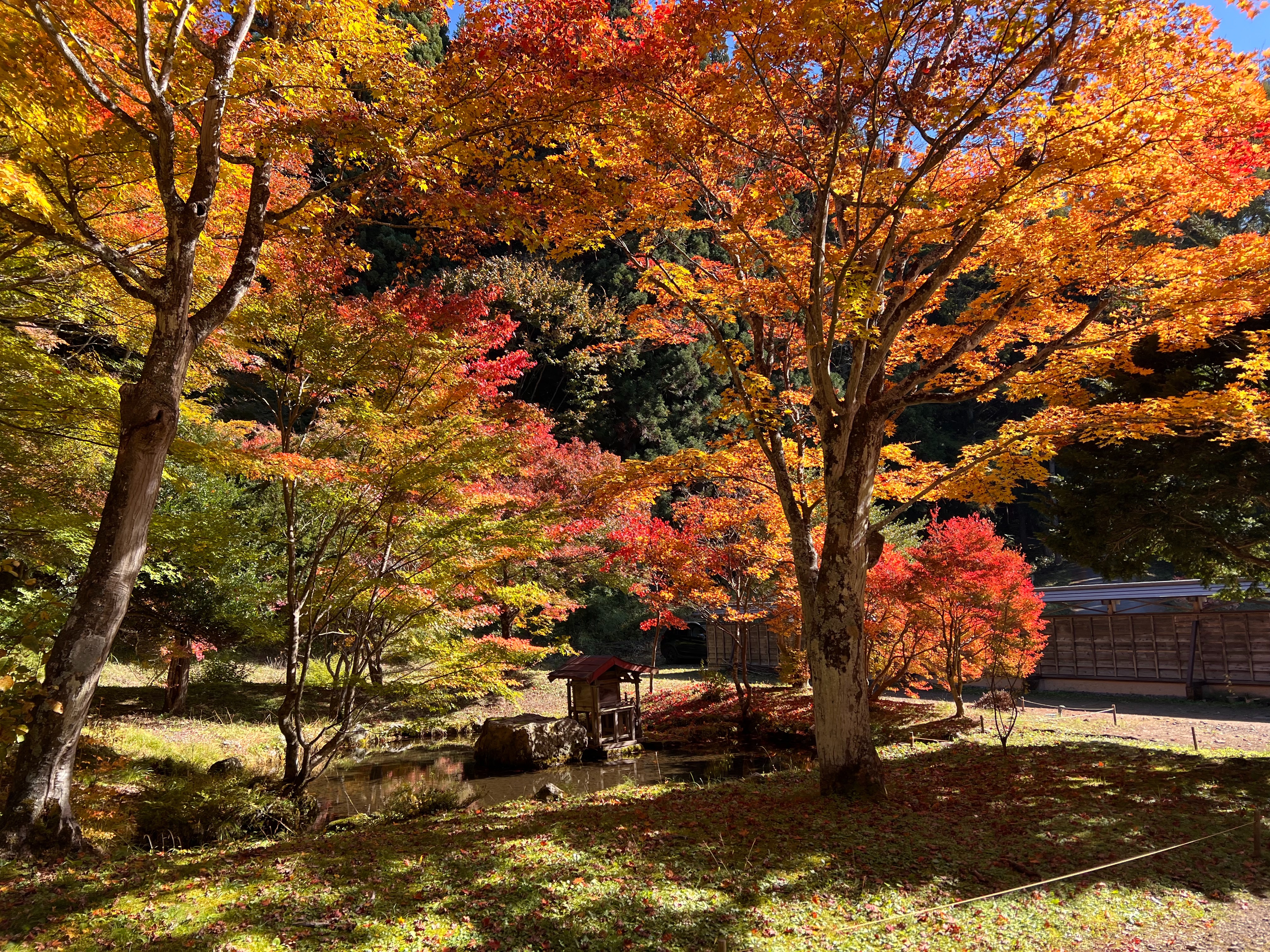 f:id:CNwriting:20241108135434j:image