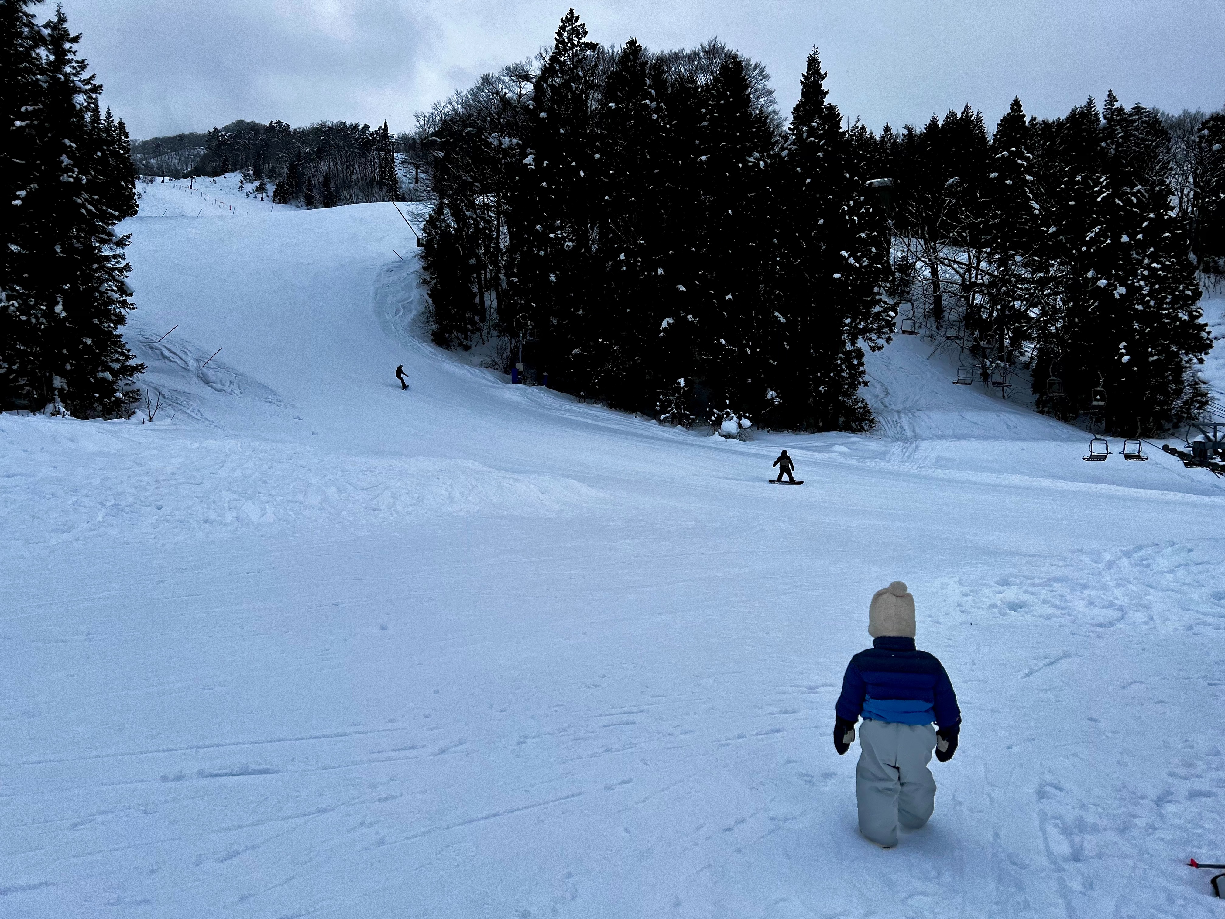 f:id:CNwriting:20250107110823j:image