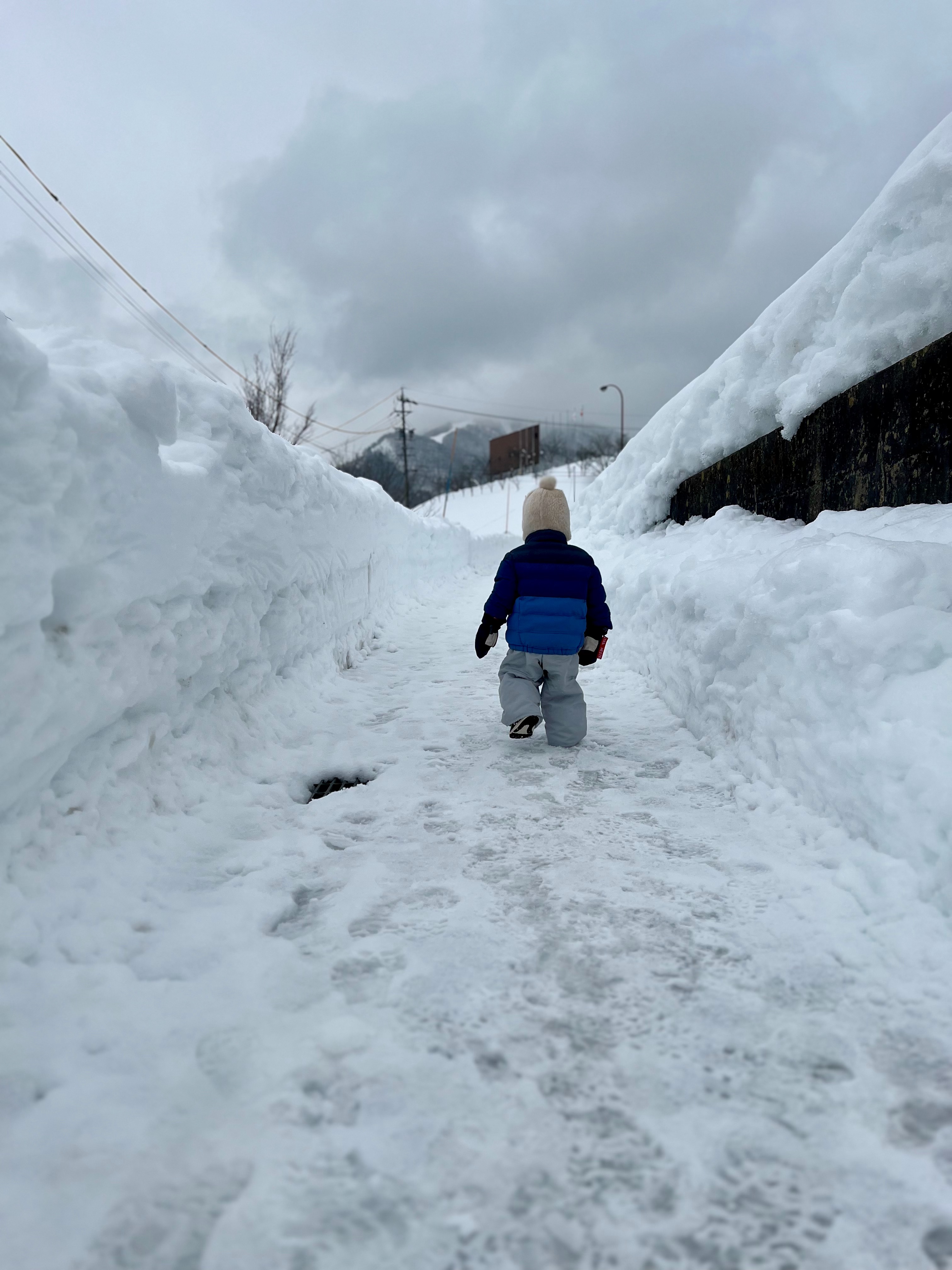 f:id:CNwriting:20250107110957j:image