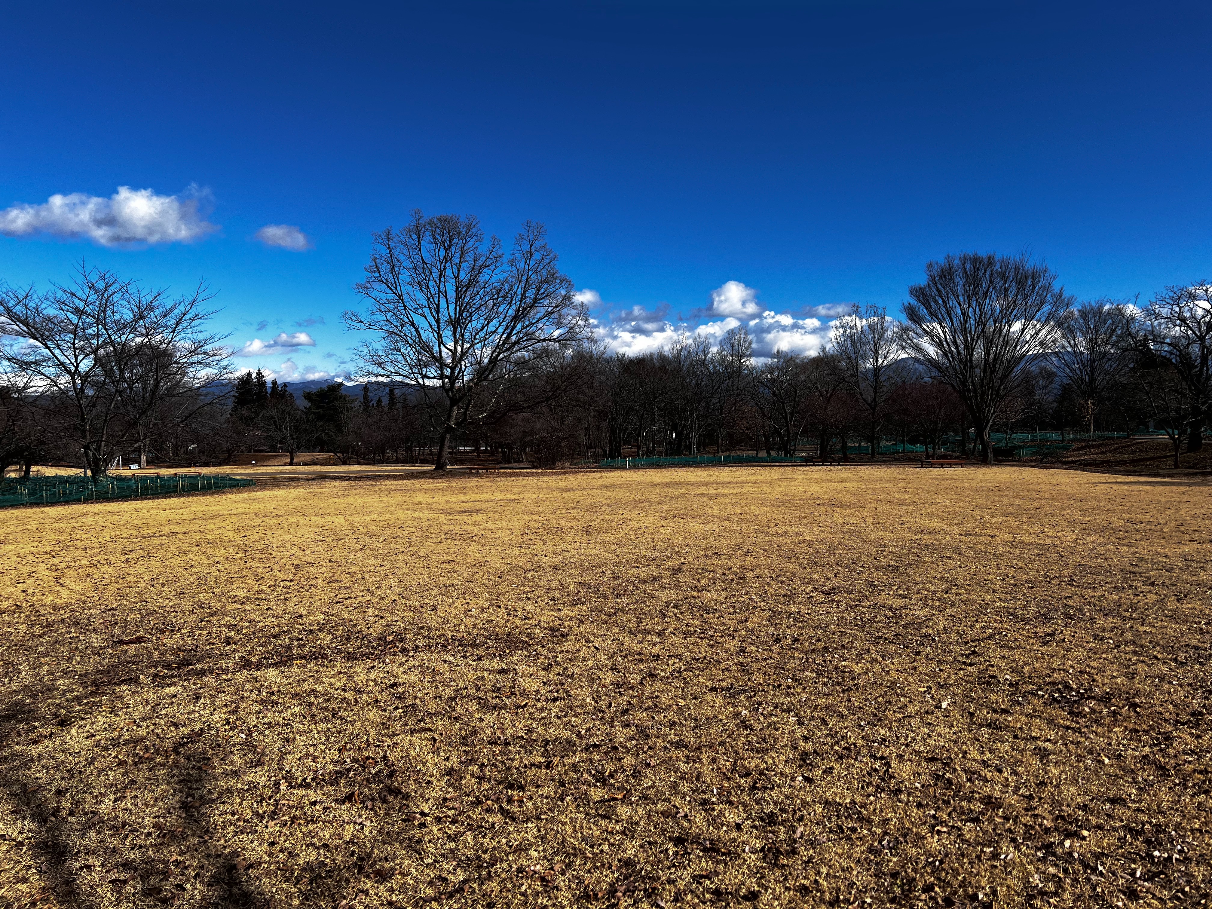 f:id:CNwriting:20250113160249j:image