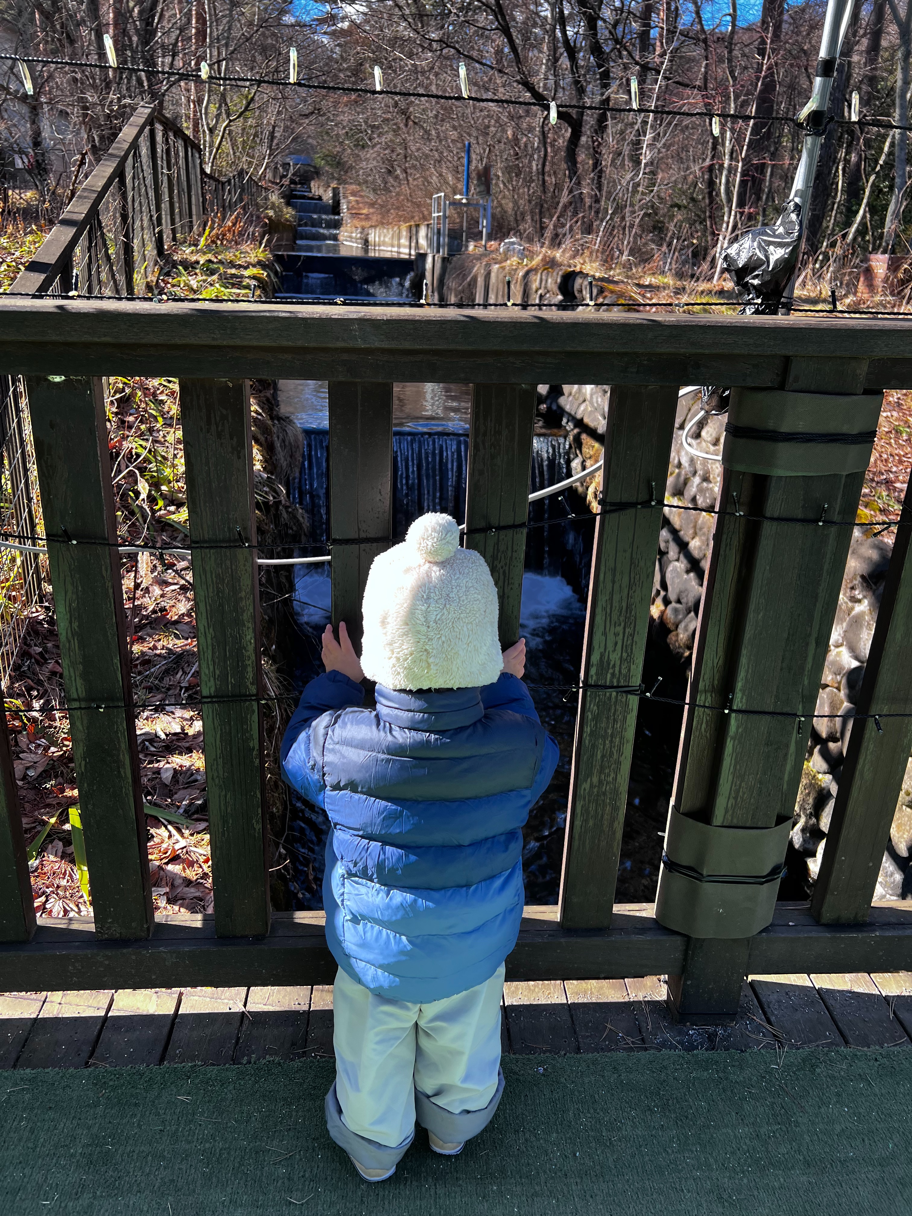 f:id:CNwriting:20250113160312j:image