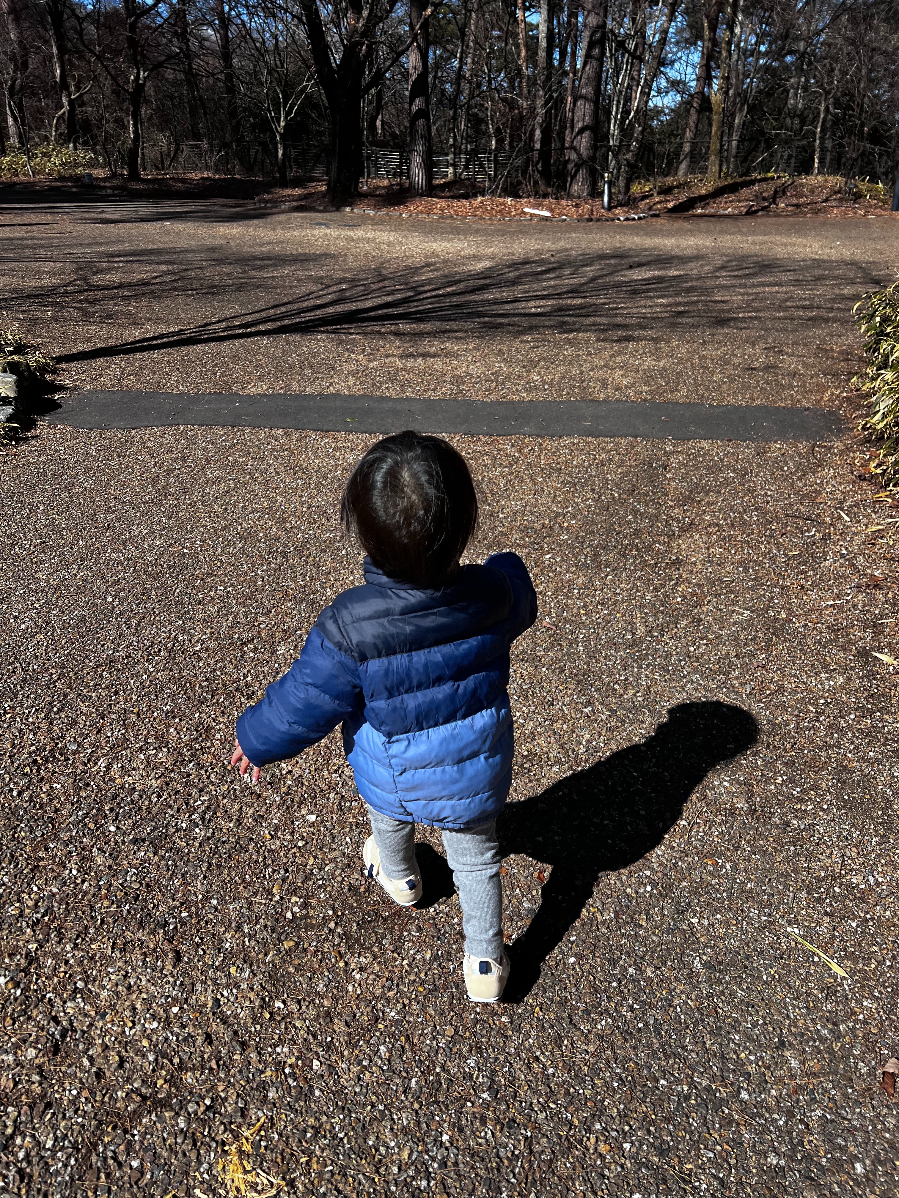 f:id:CNwriting:20250215152725j:image