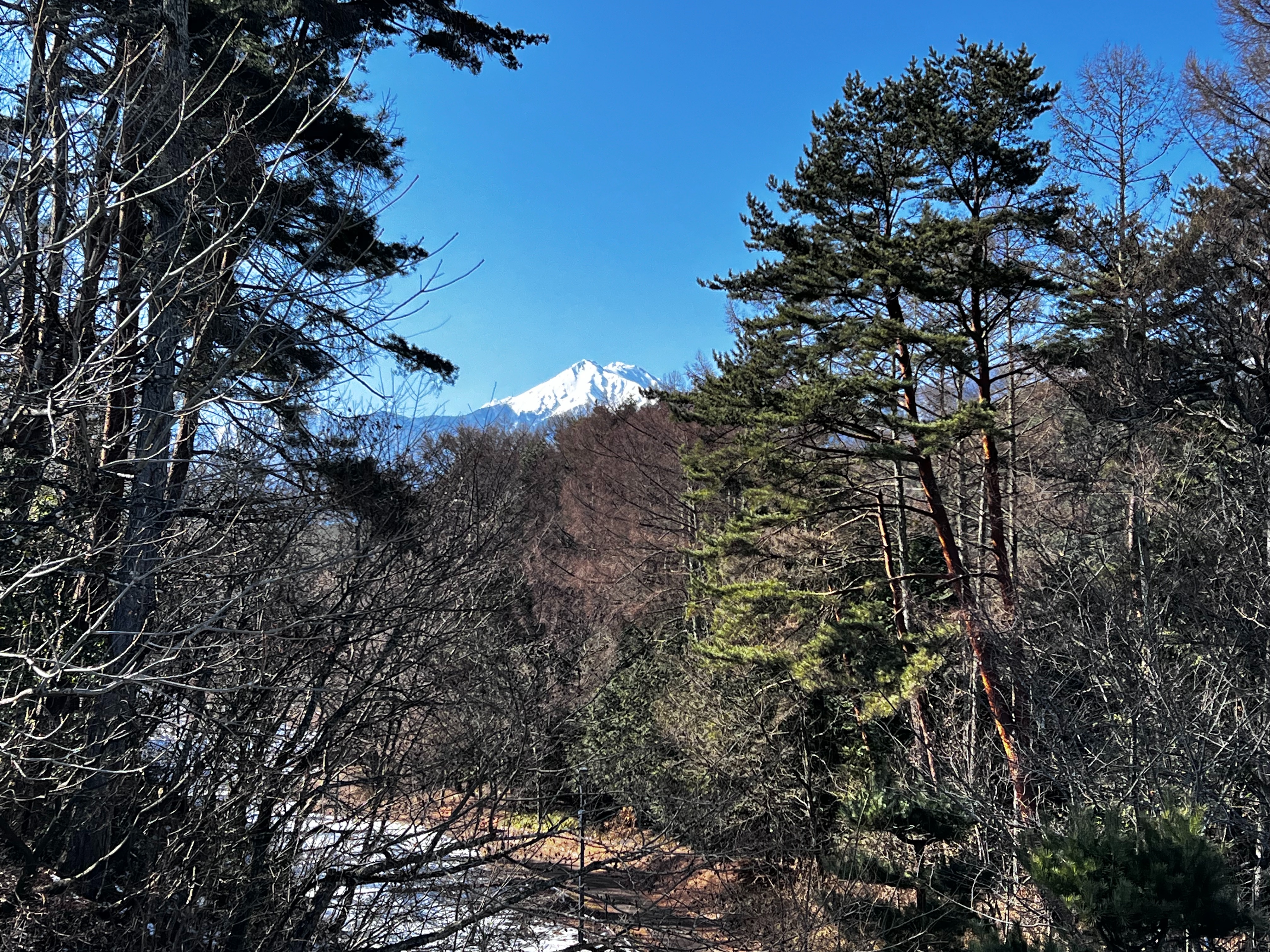 f:id:CNwriting:20250215152735j:image
