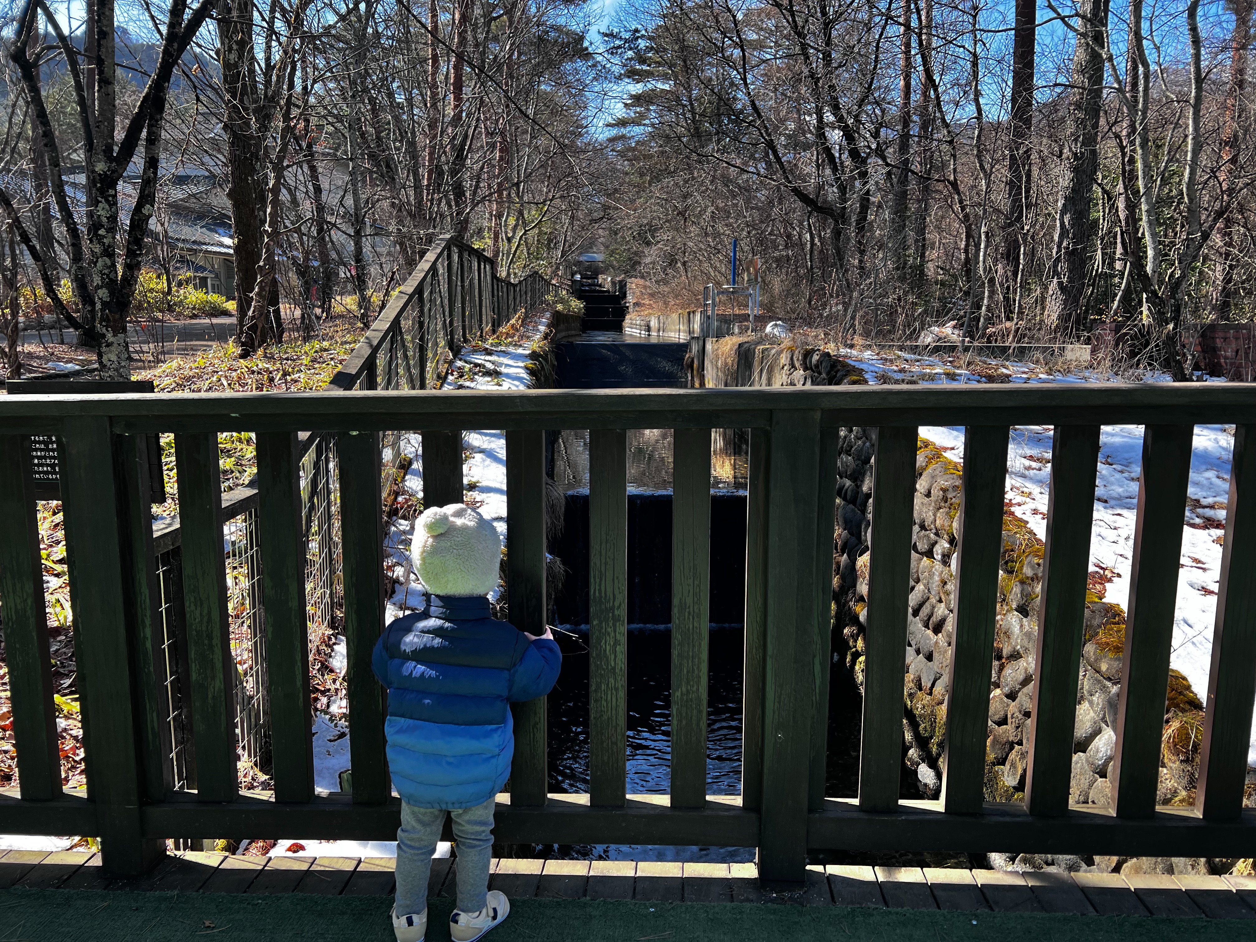f:id:CNwriting:20250215152826j:image