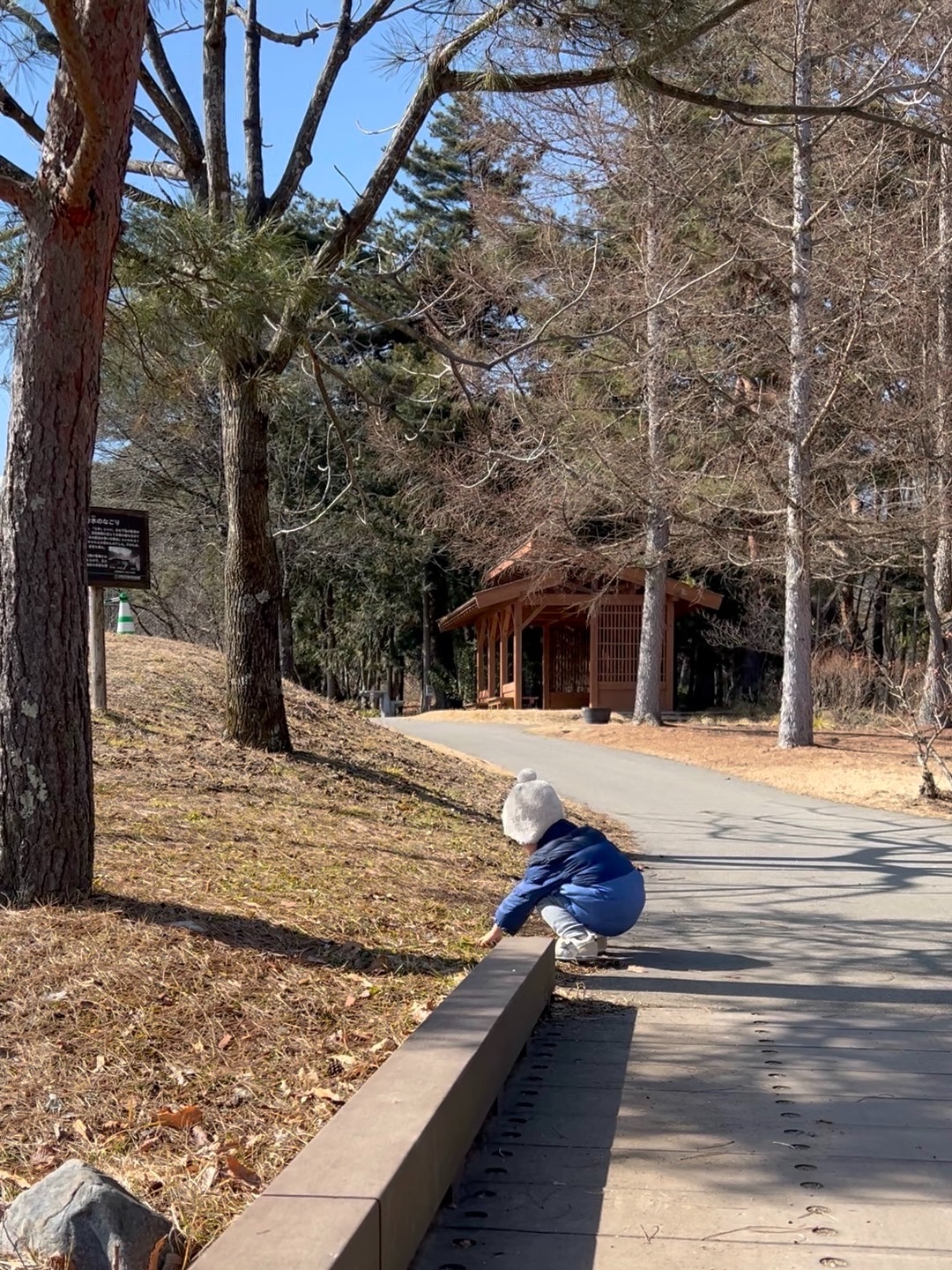 f:id:CNwriting:20250215152943j:image