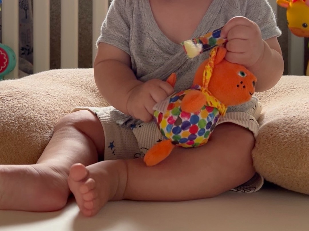 f:id:CNwriting:20250223182719j:image