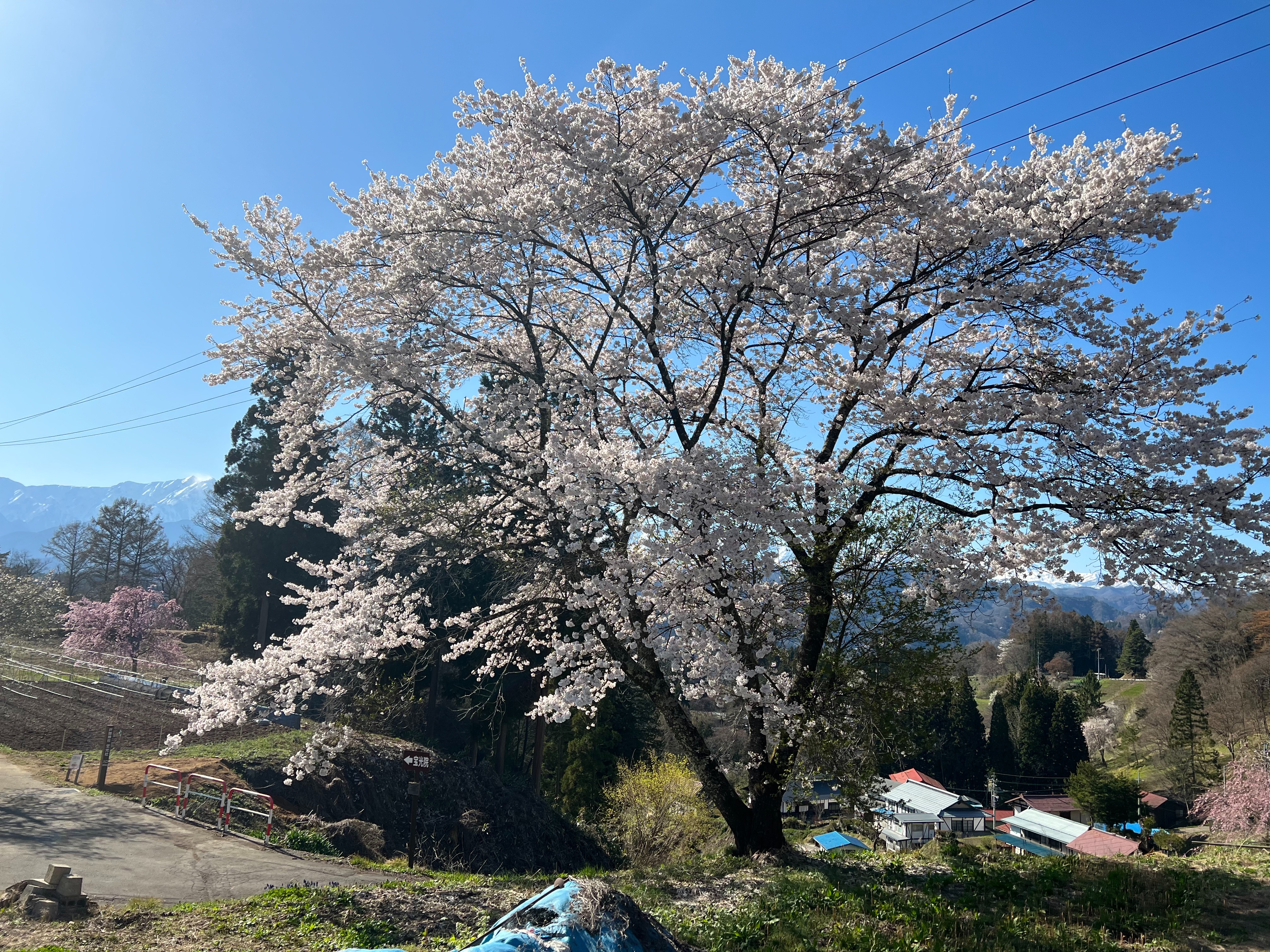 f:id:CNwriting:20250312090517j:image