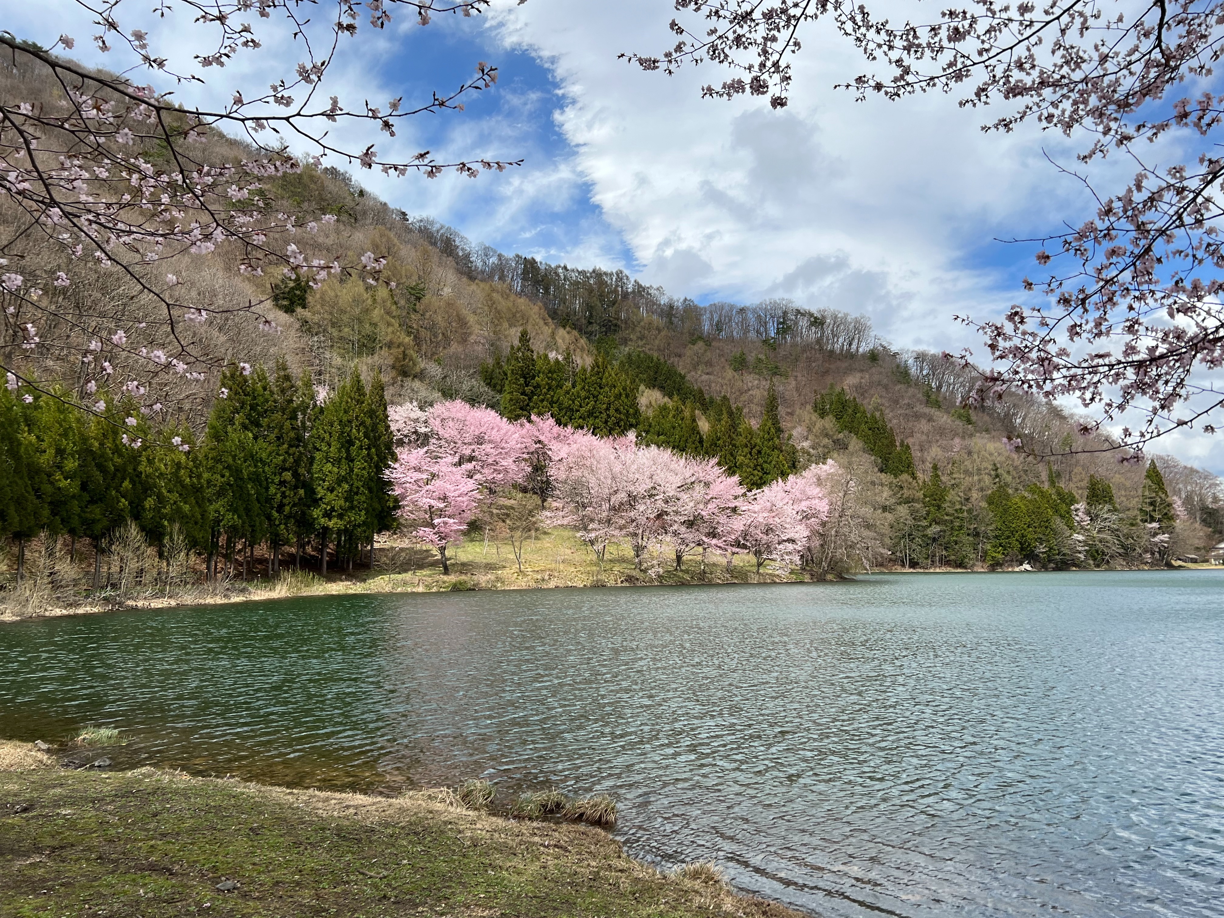 f:id:CNwriting:20250312103841j:image