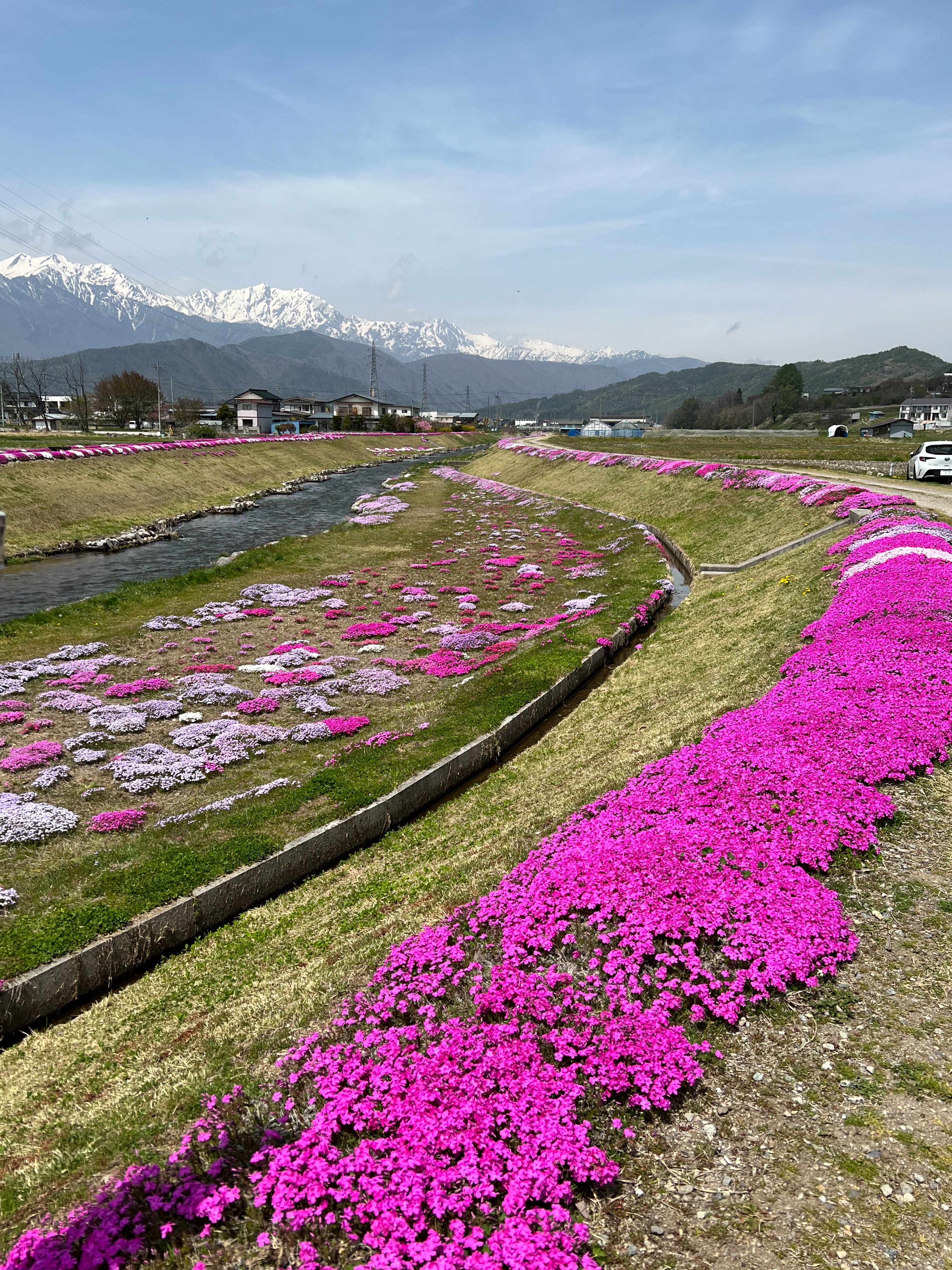 f:id:CNwriting:20250318135127j:image