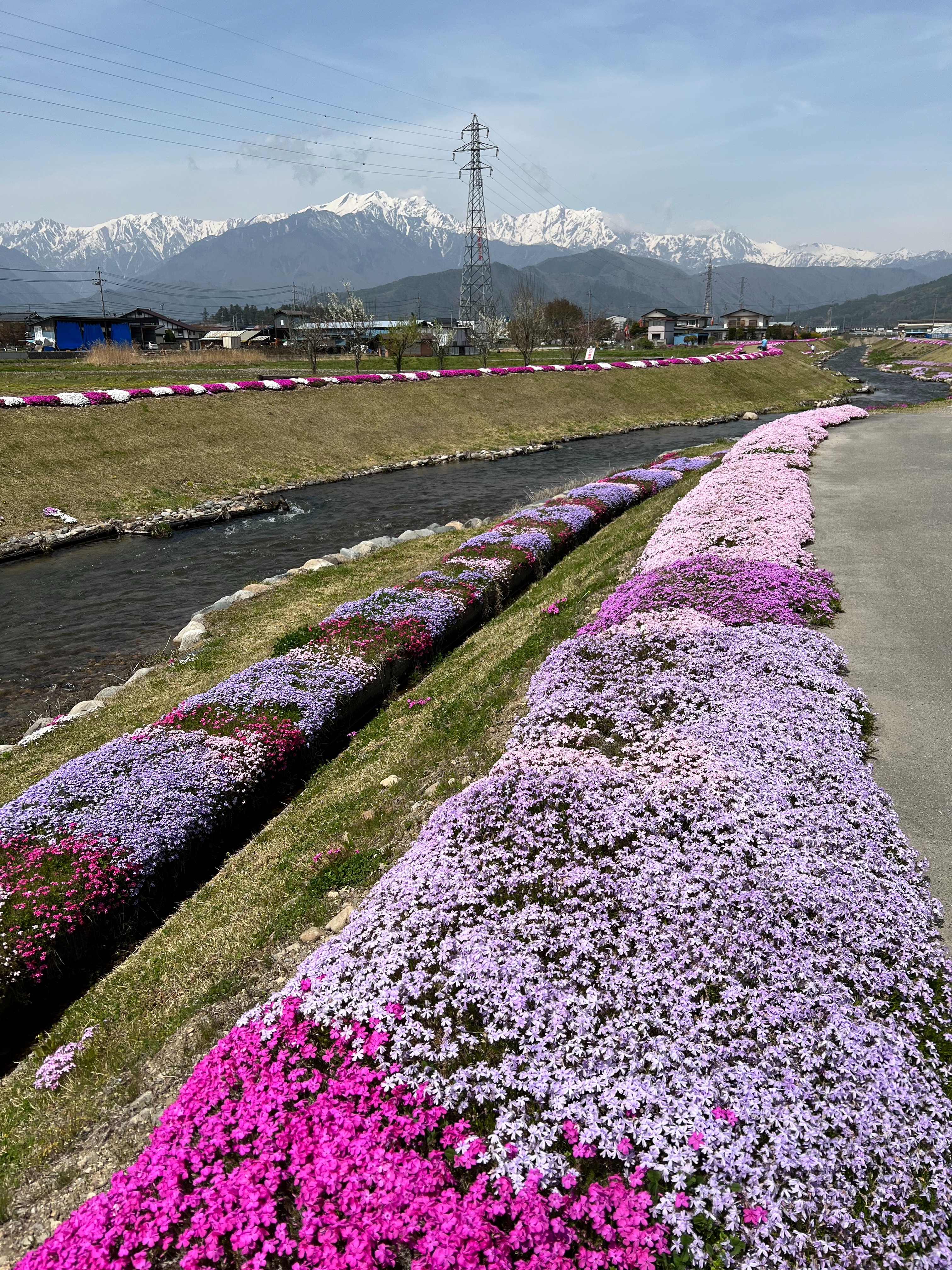 f:id:CNwriting:20250318135228j:image