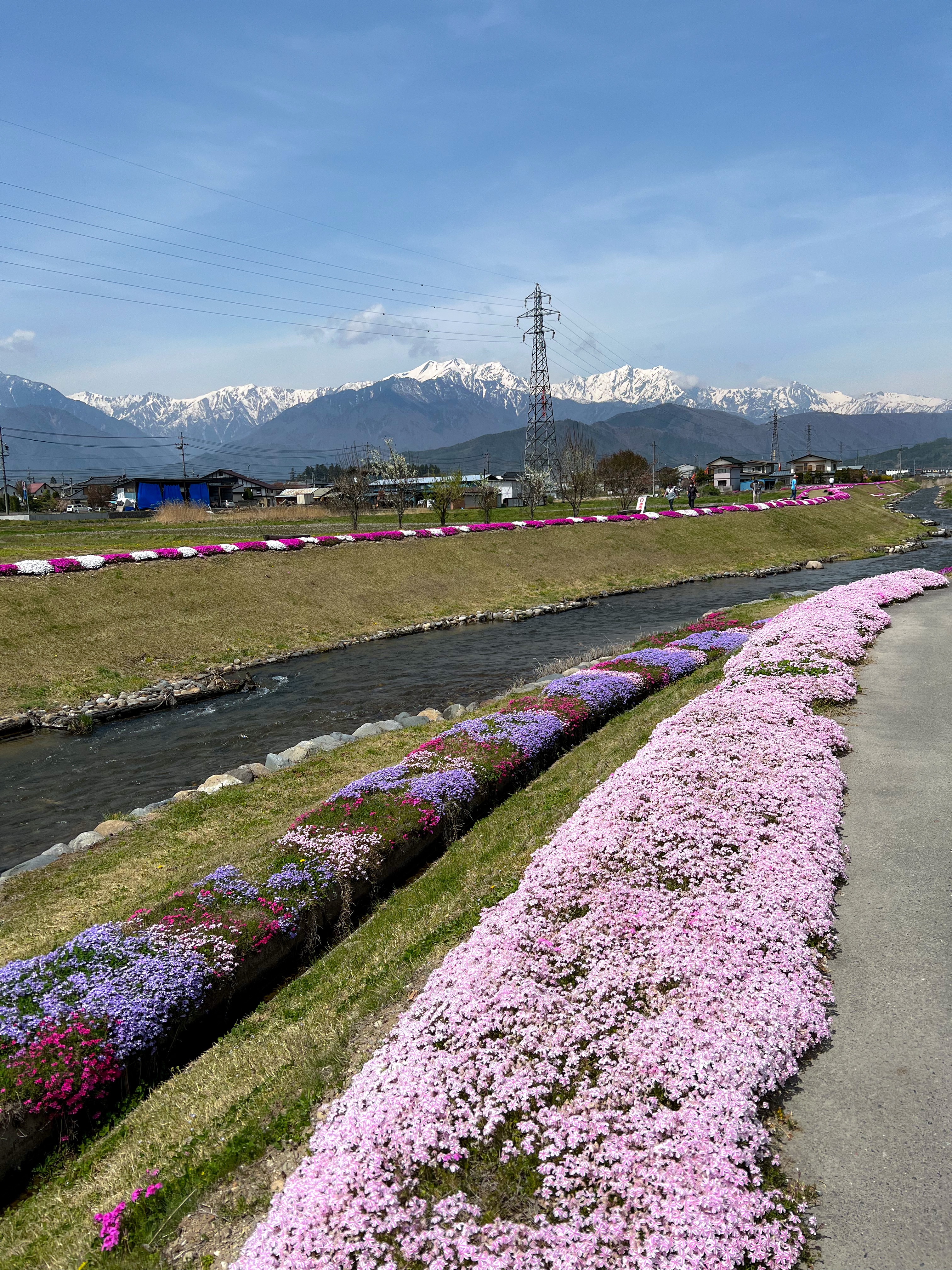 f:id:CNwriting:20250318135257j:image